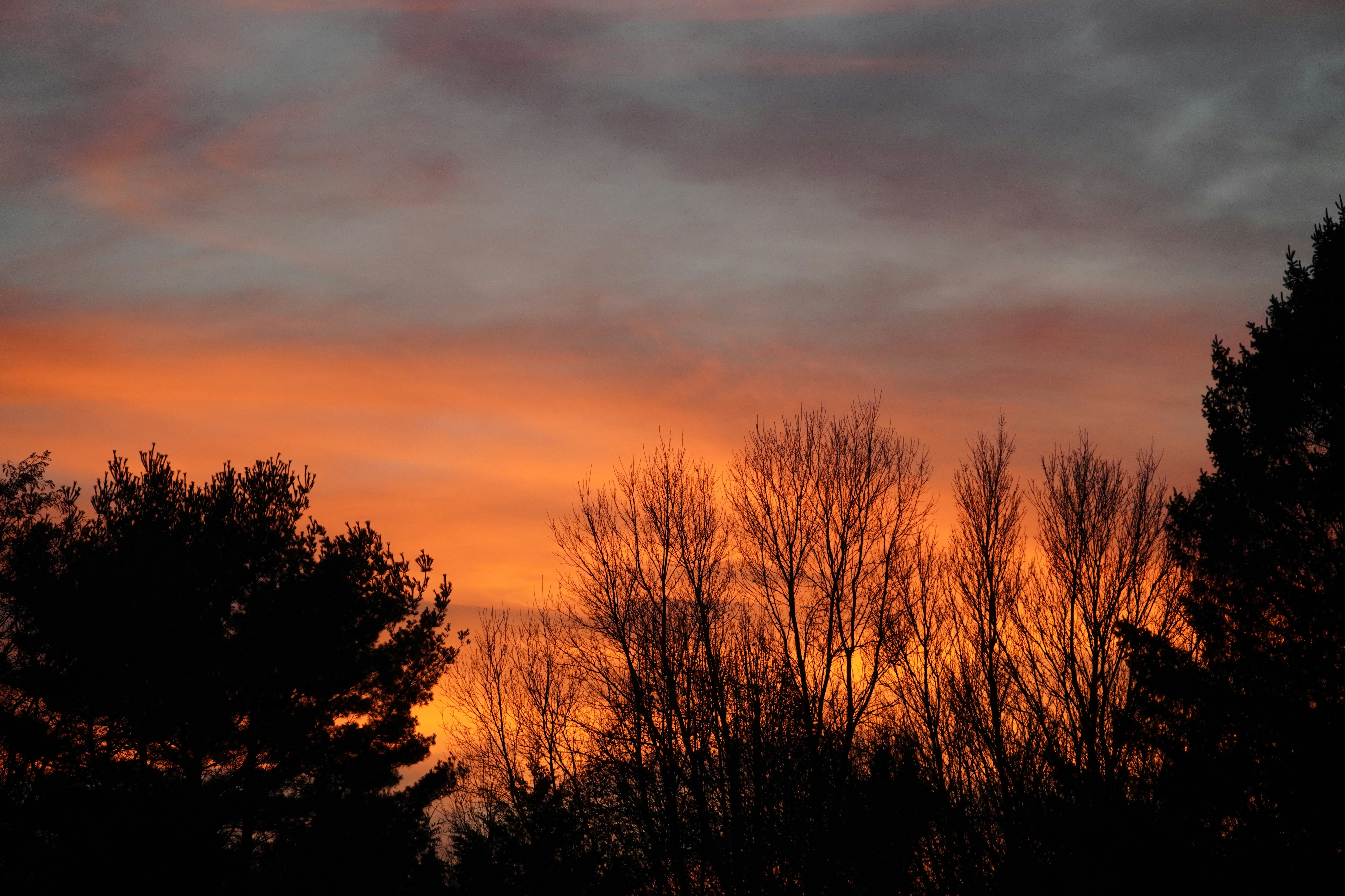 a sunset with trees silhouetted against the sky
