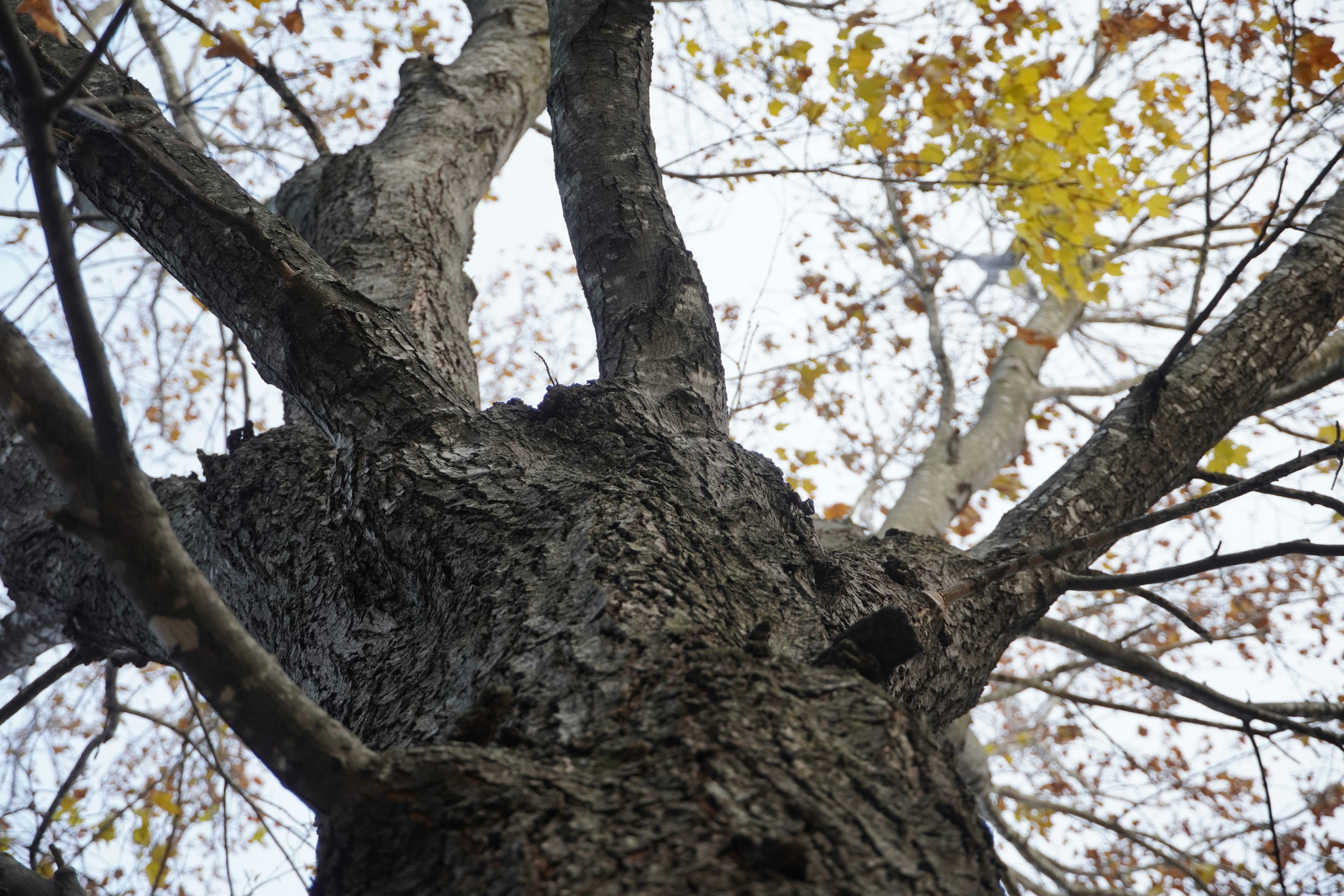 Photo by calecrunchy