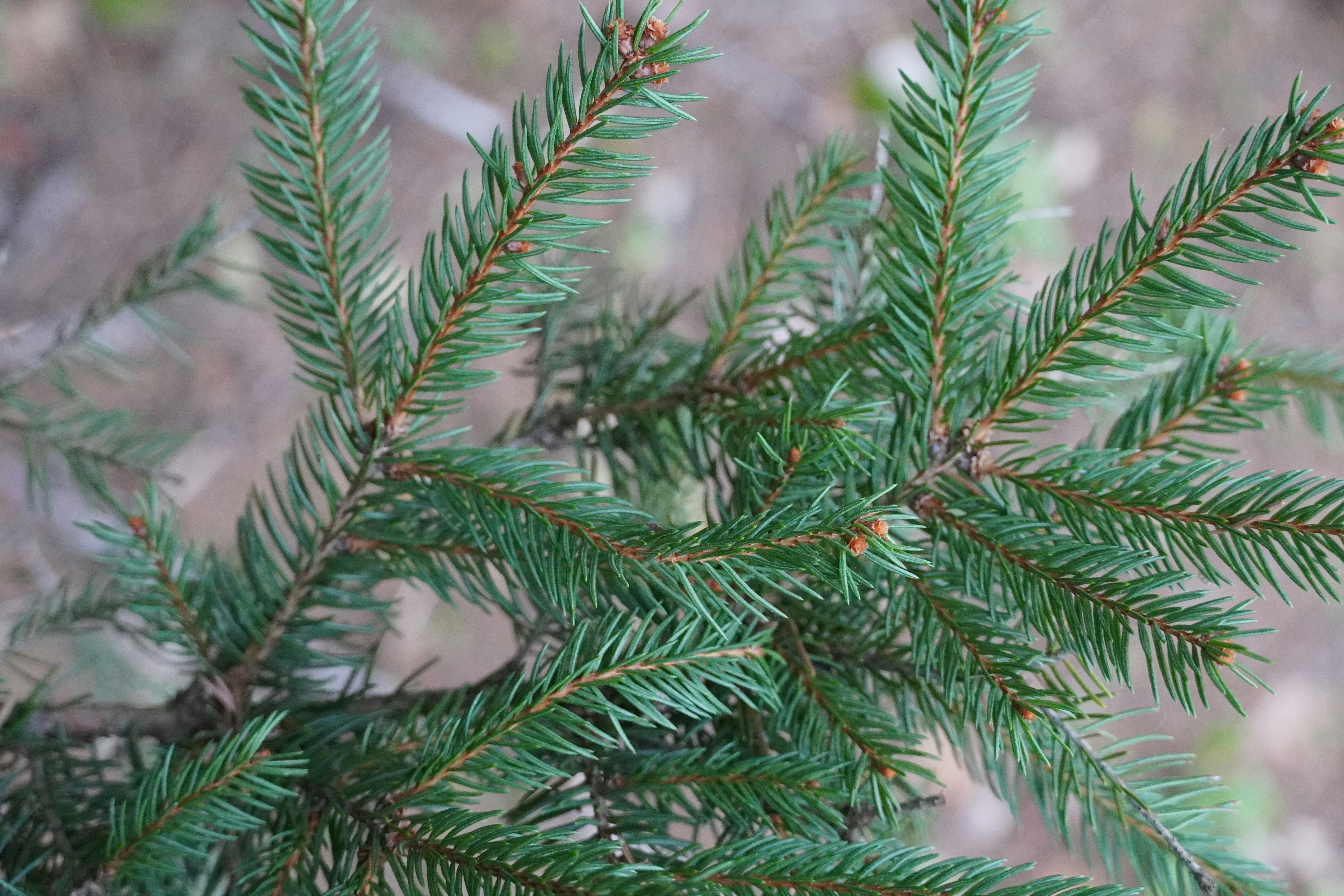 Photo by calecrunchy