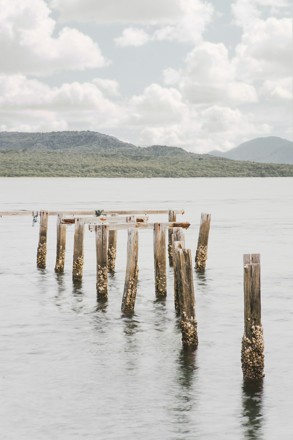 a wooden dock sitting in the middle of a lake