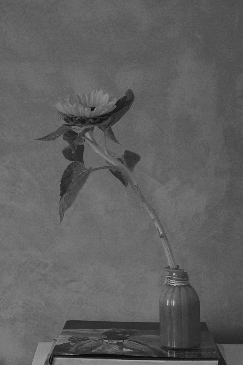 a black and white photo of a flower in a vase