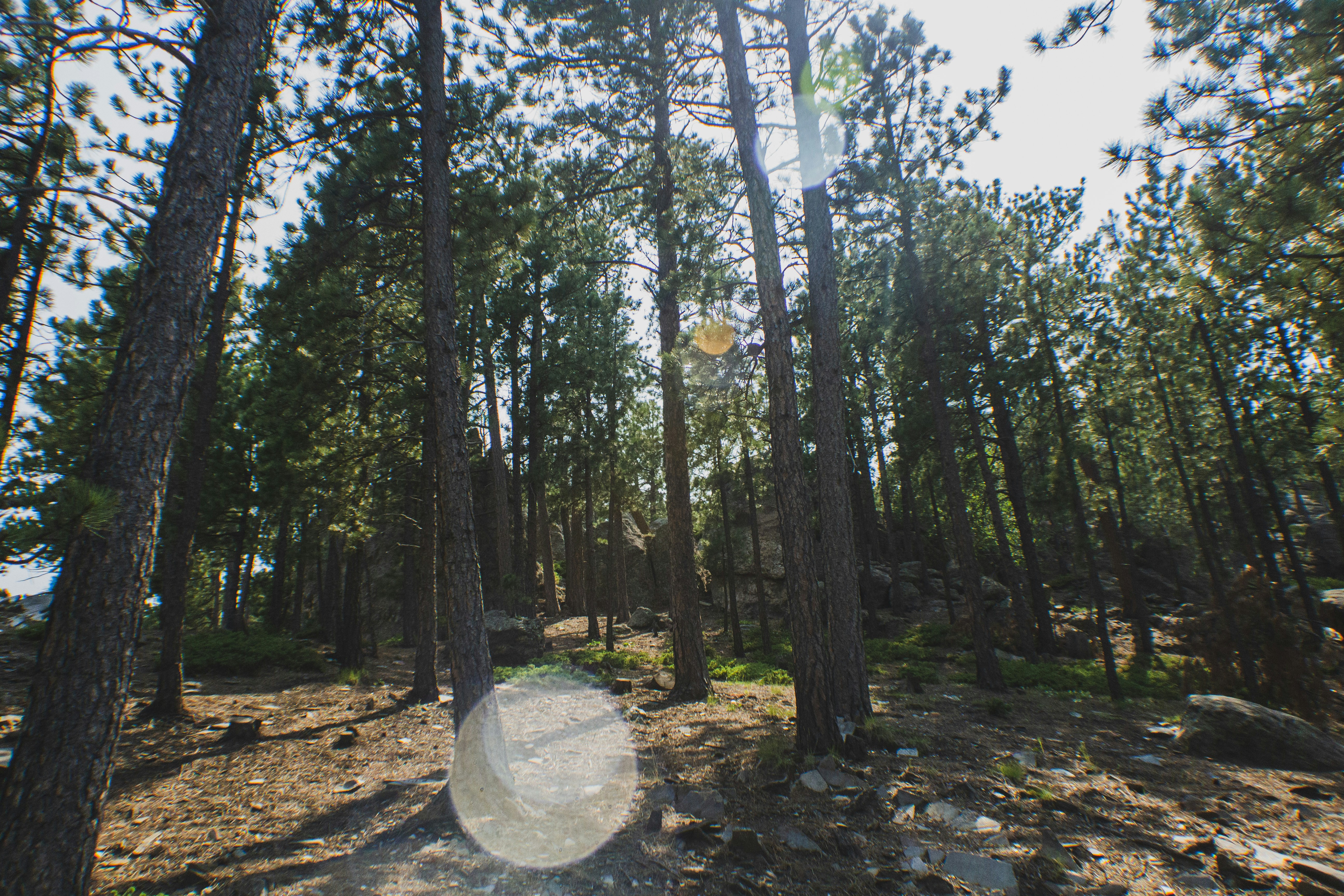 Parking and picnic area