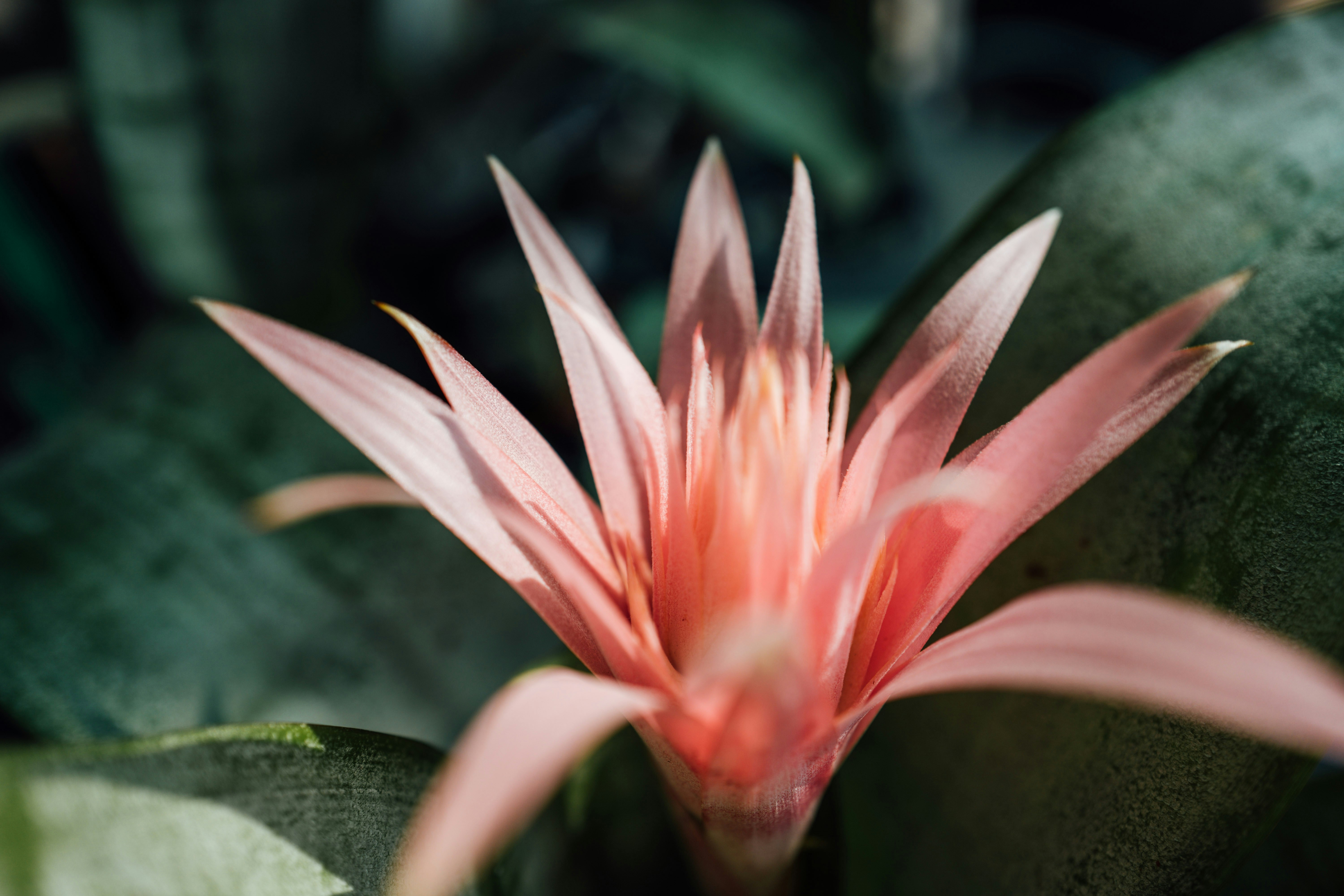 Photo by chuttersnap