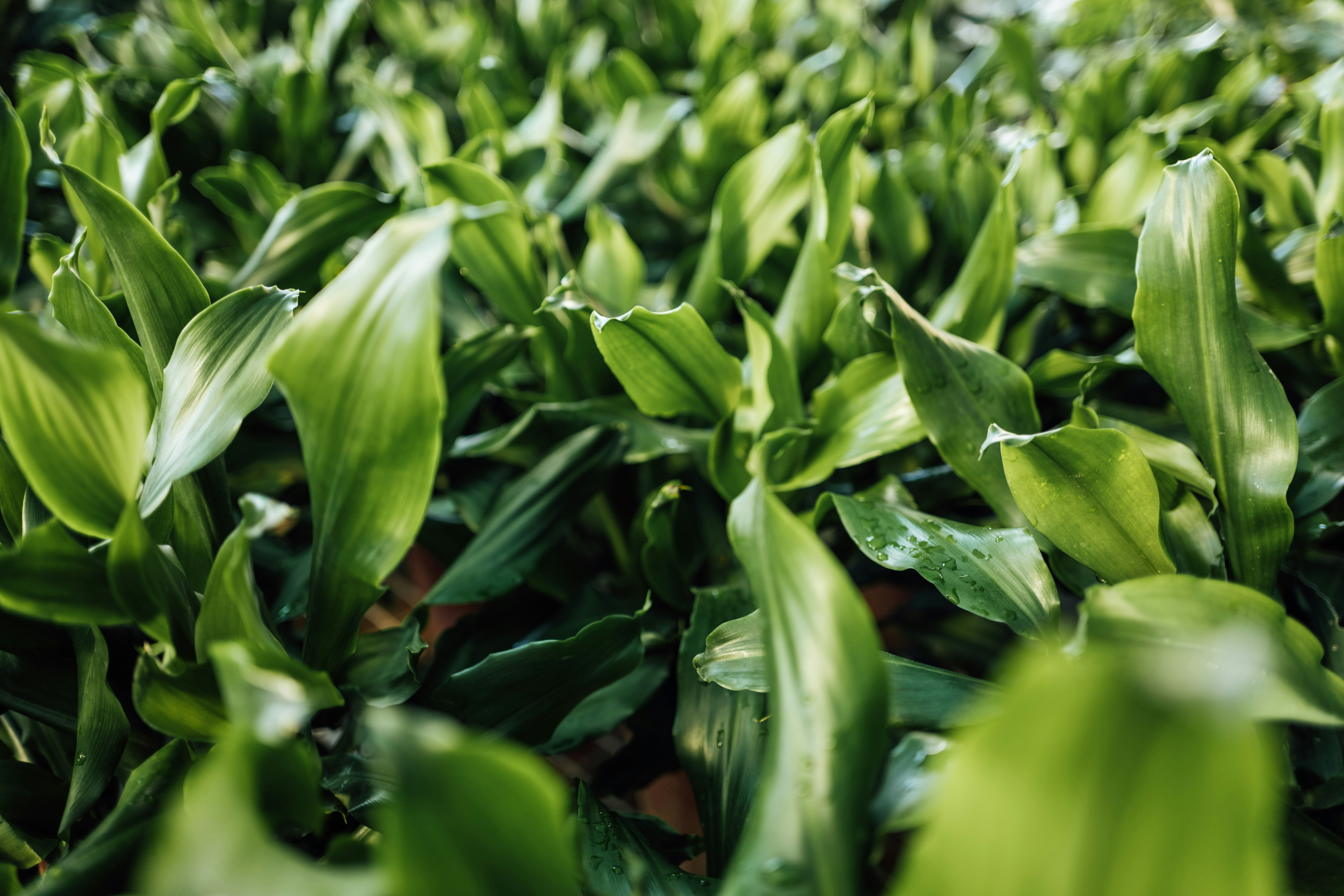 Photo by chuttersnap