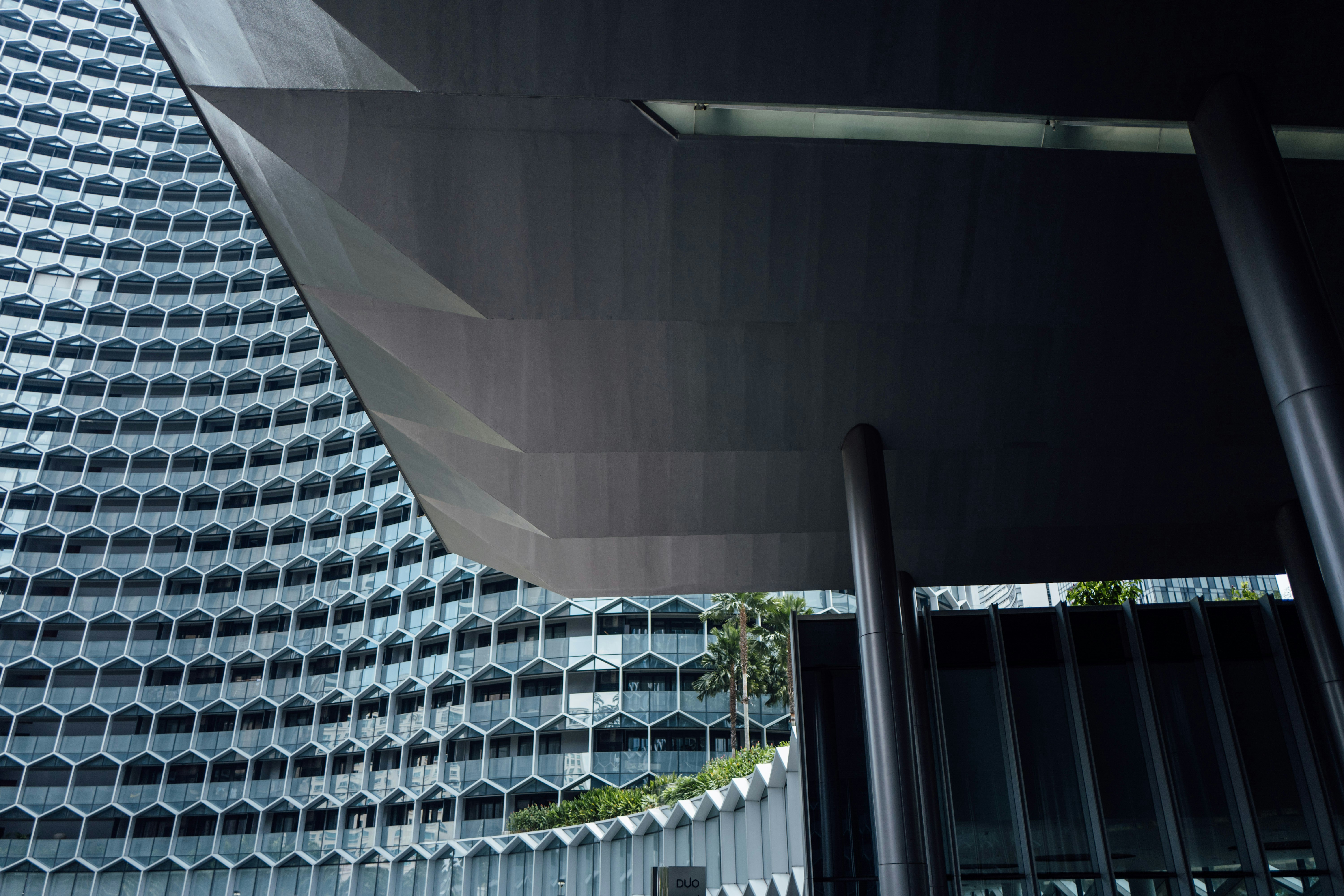 Photo by chuttersnap