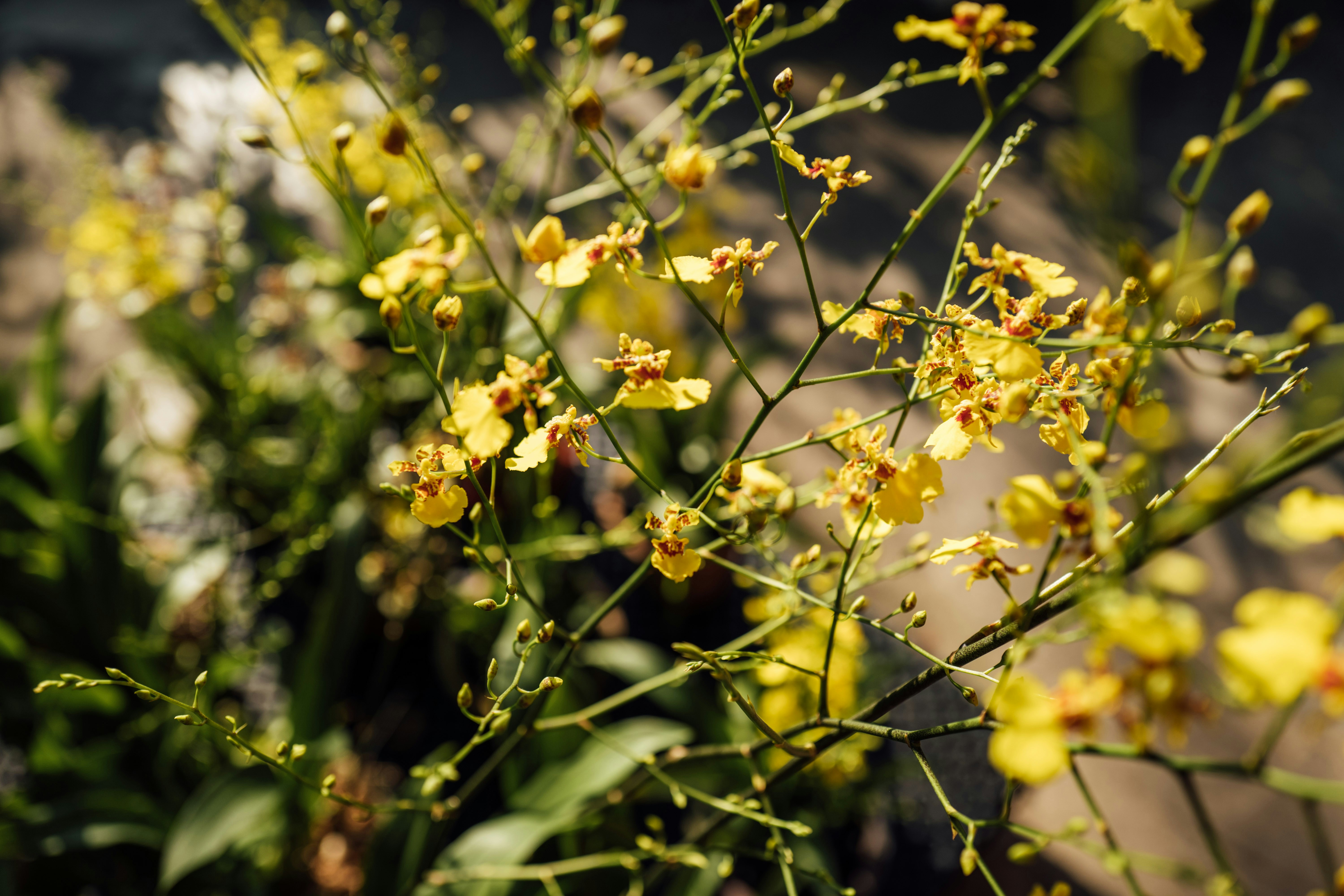 Photo by chuttersnap