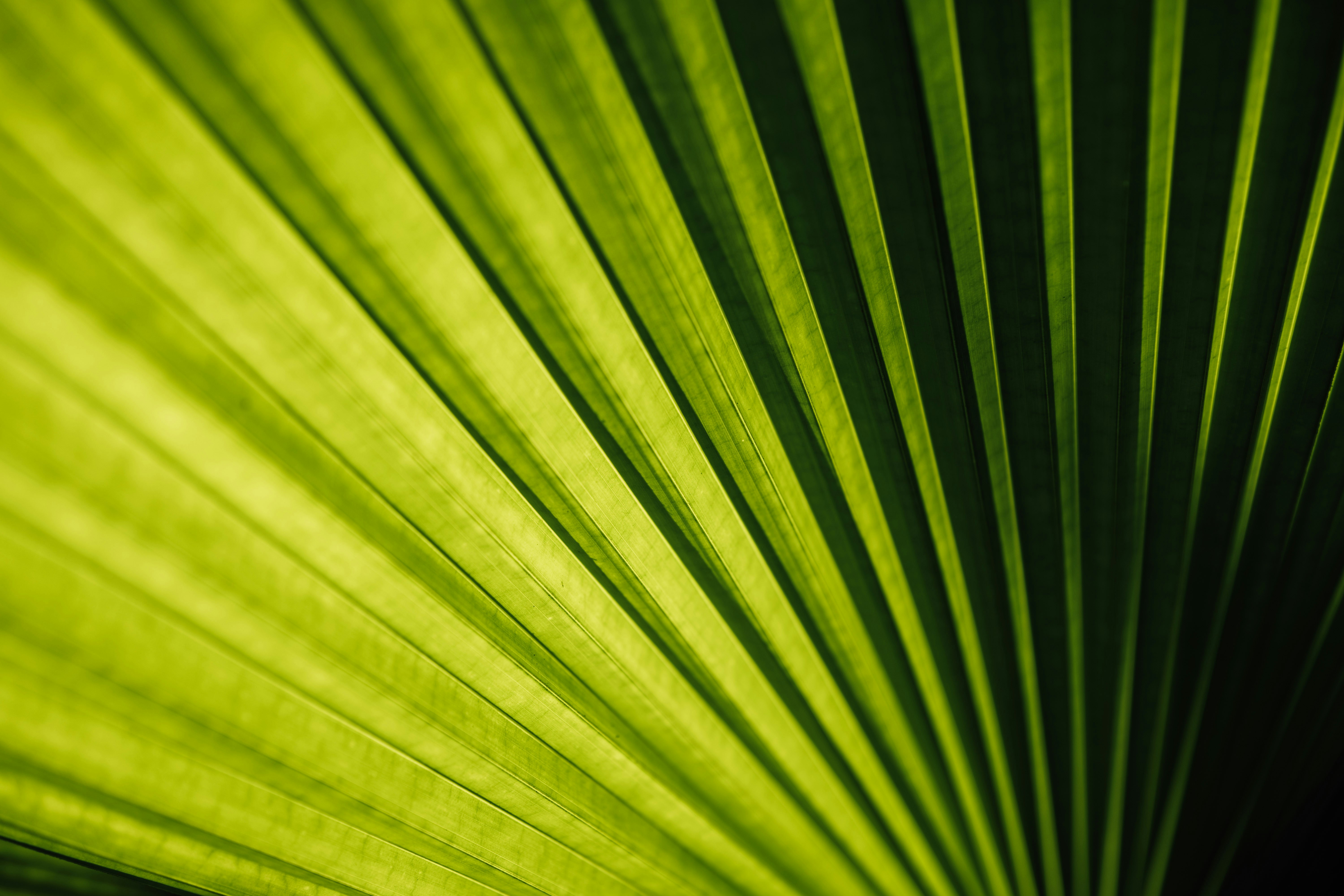 Photo by chuttersnap