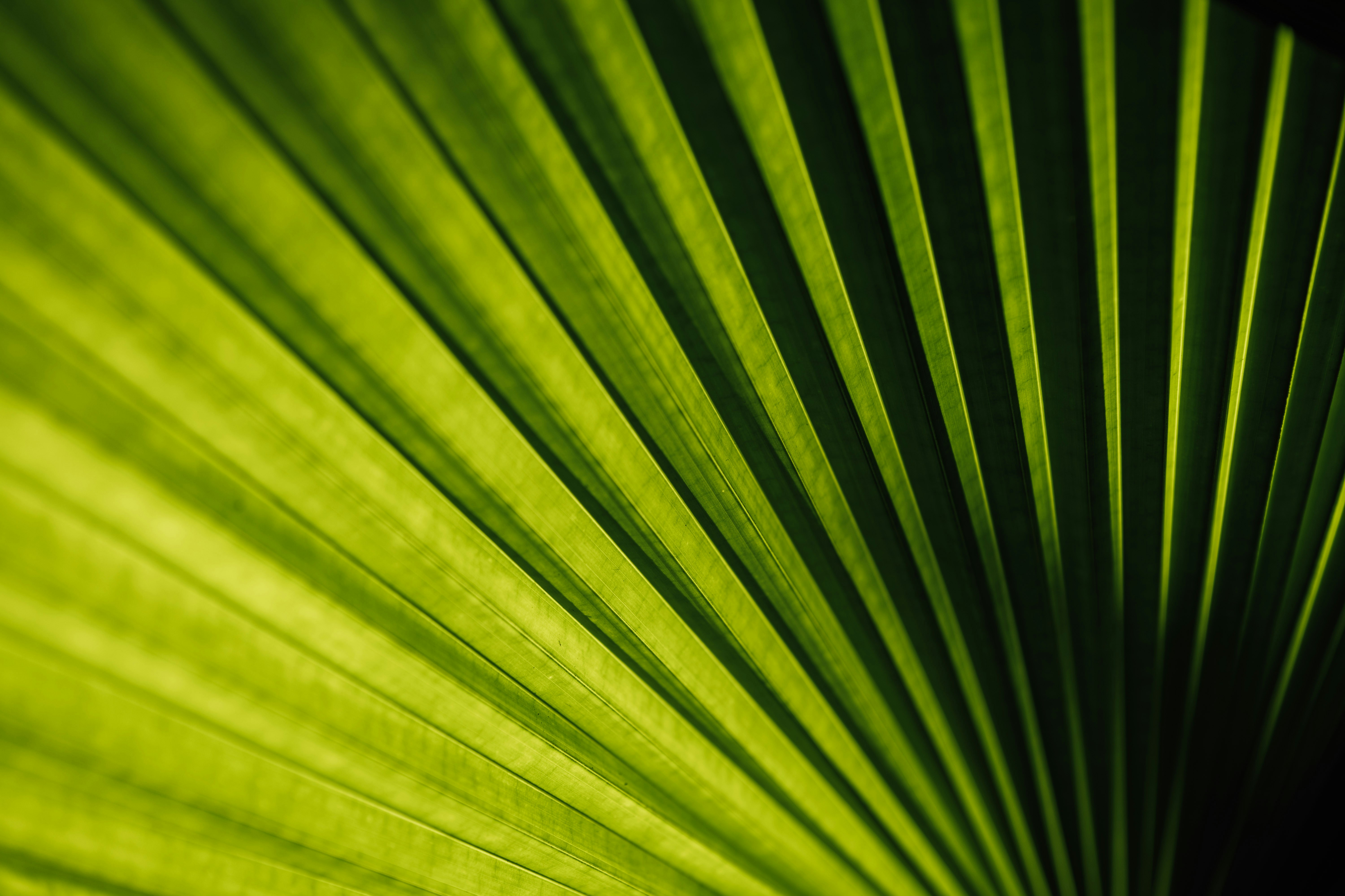 Photo by chuttersnap