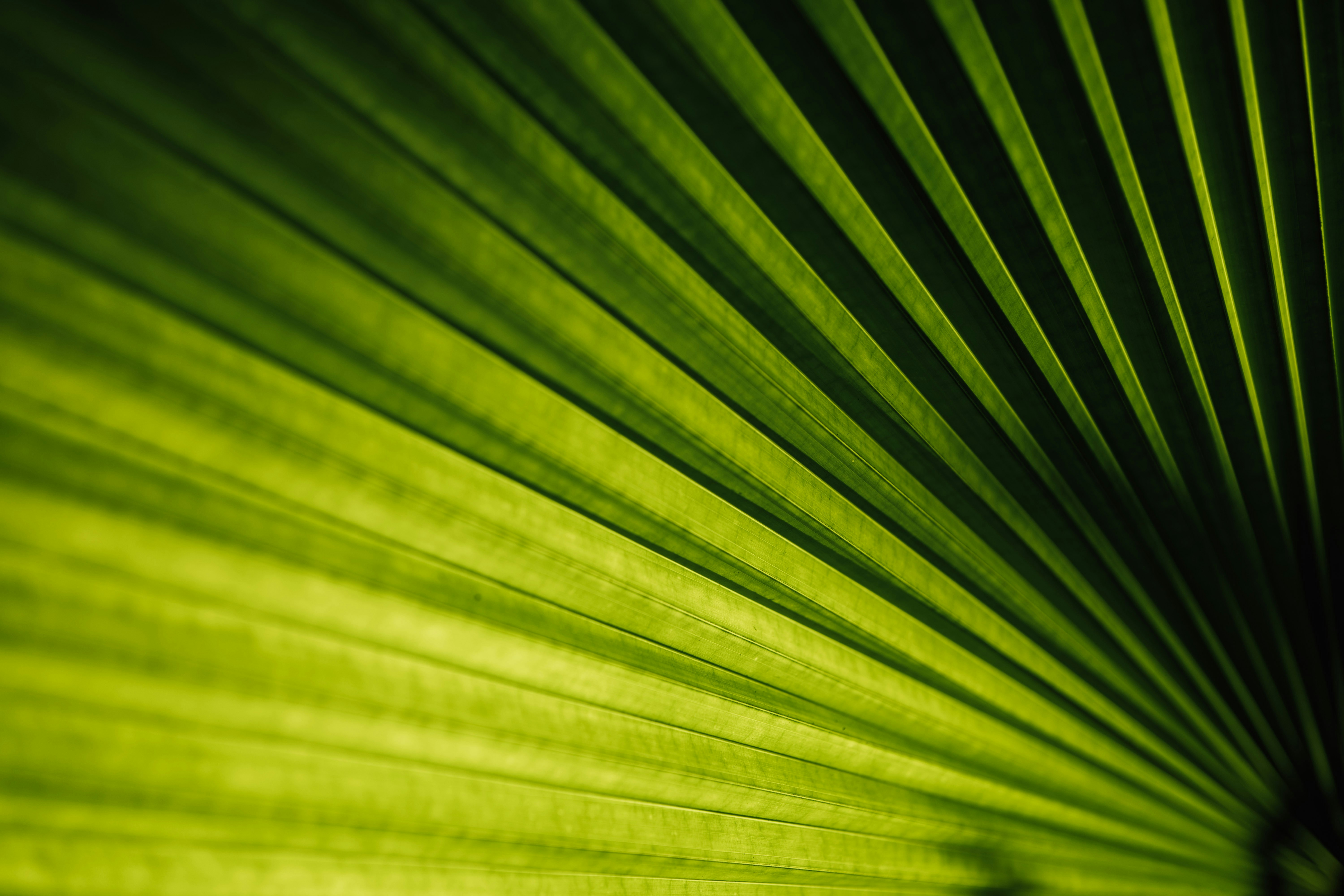 Photo by chuttersnap