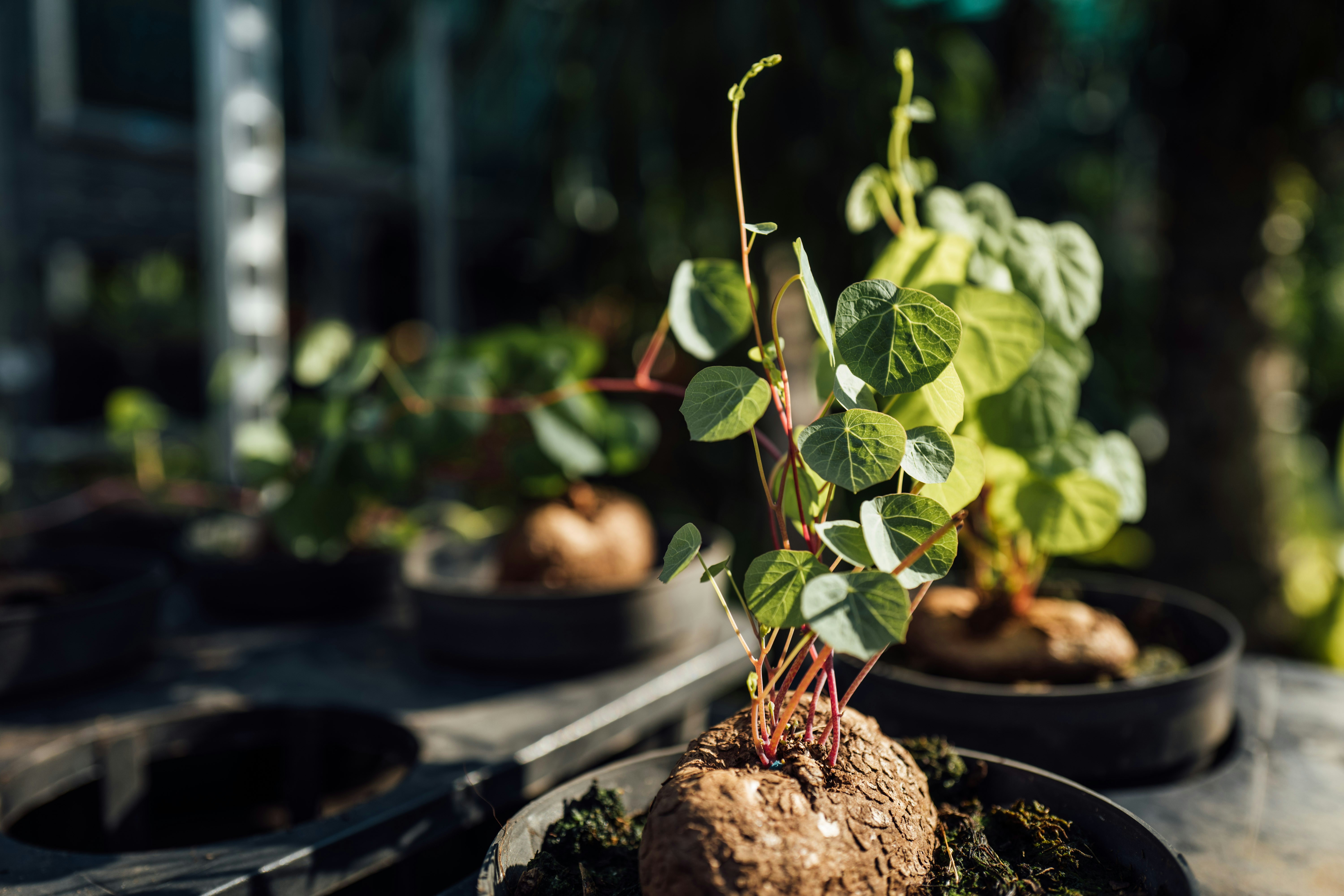 Photo by chuttersnap