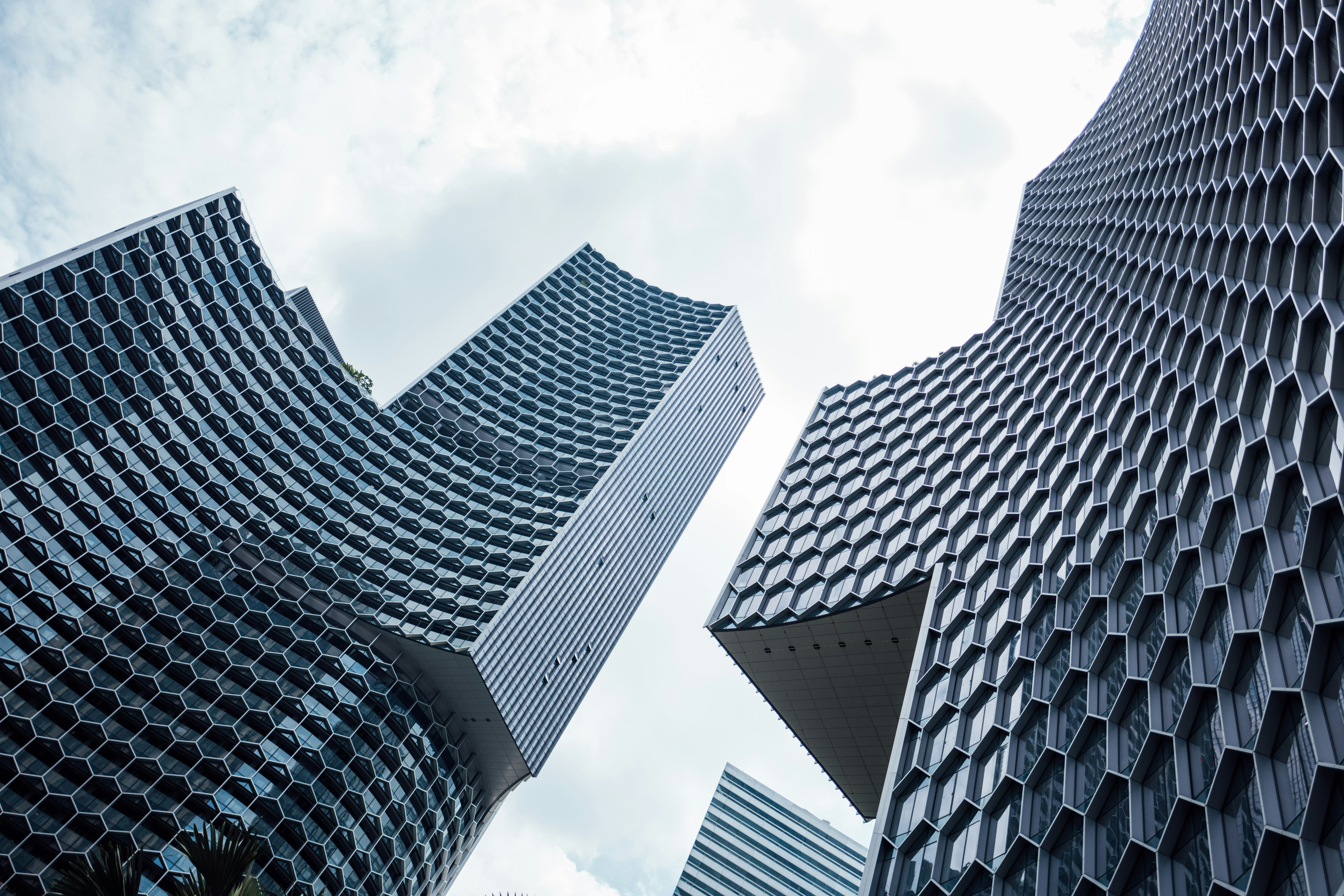 Photo by chuttersnap