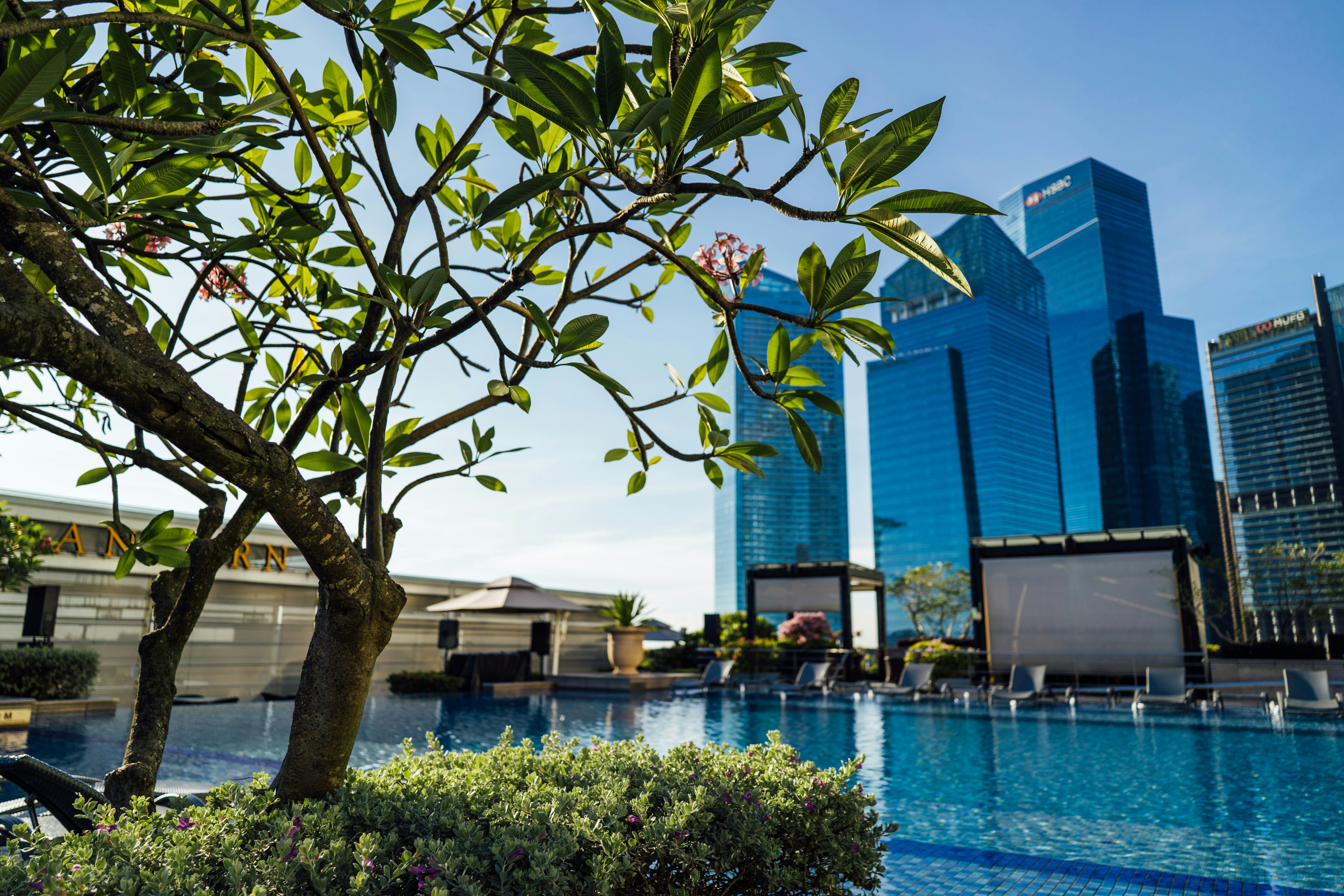 Photo by chuttersnap