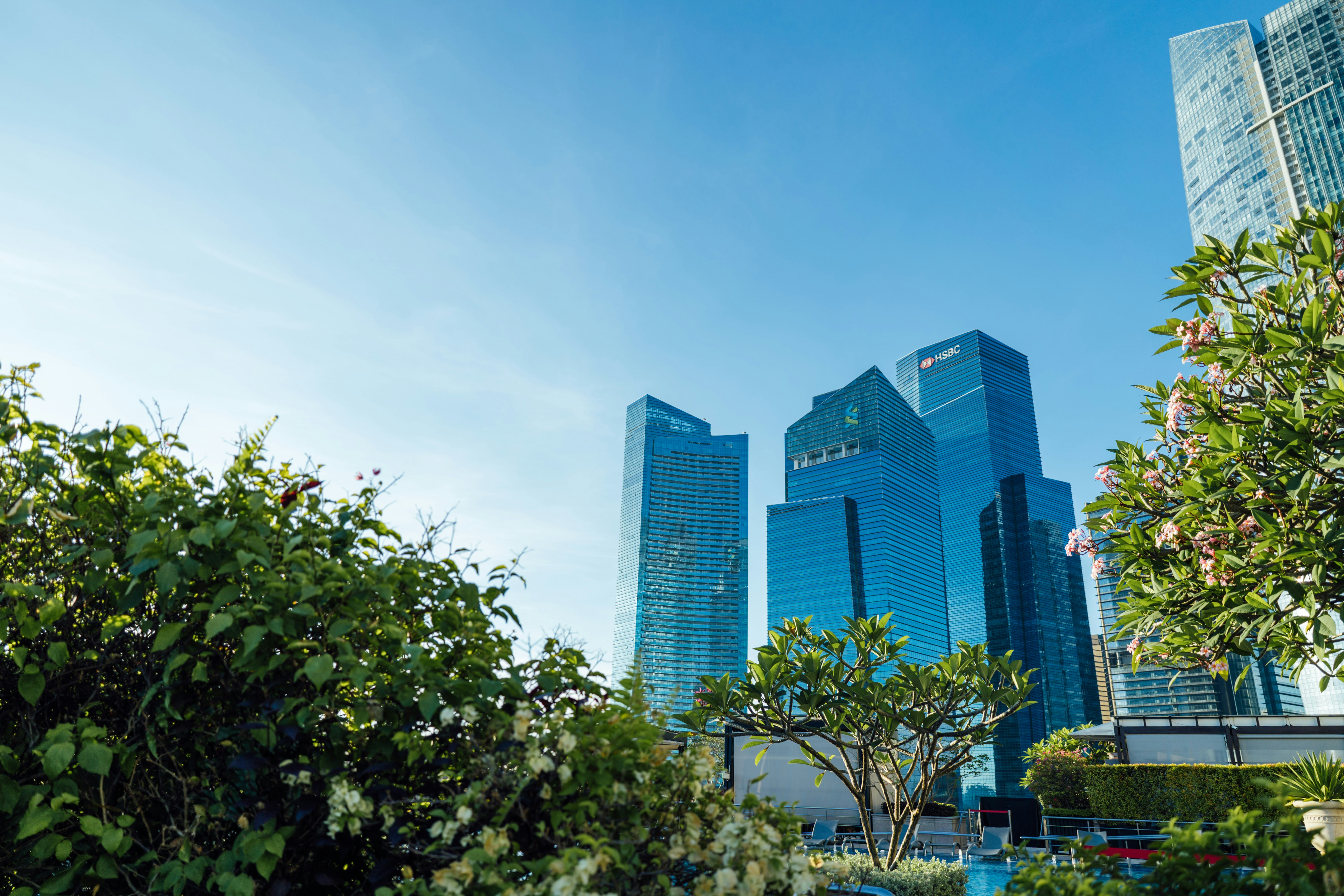 Photo by chuttersnap