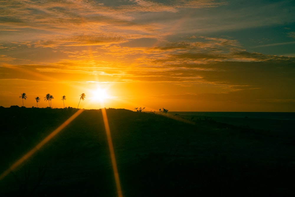 the sun is setting over a field with palm trees