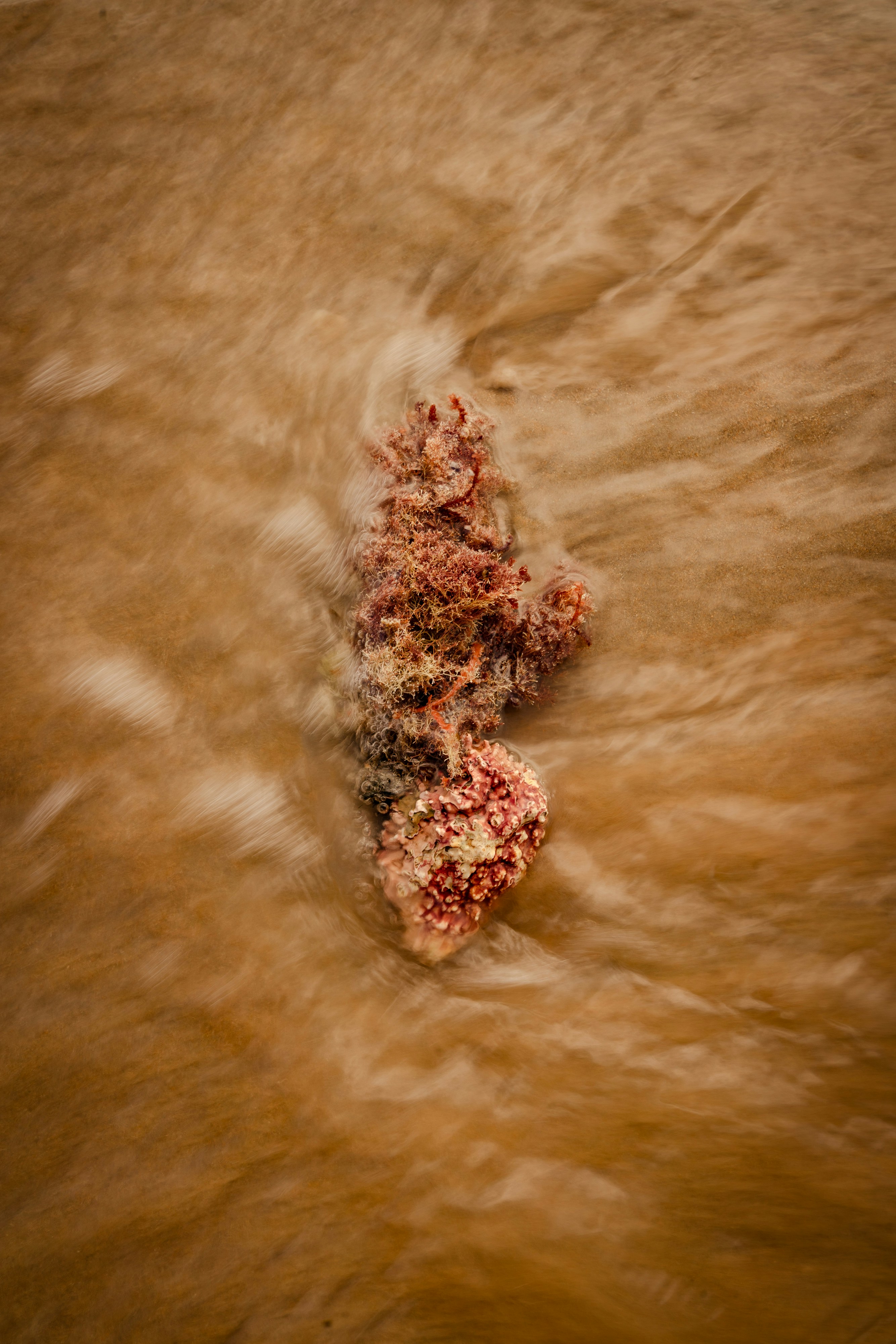 Lake Mohave’s Water Level: A Glimpse of Lake Mead’s Future