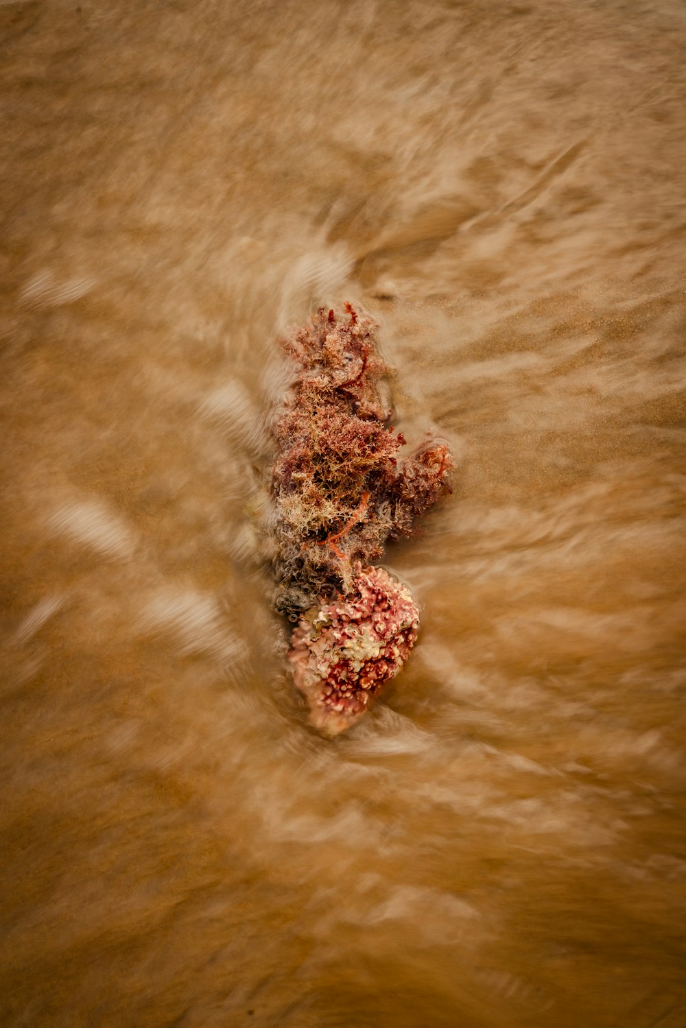 a red object floating on top of a body of water