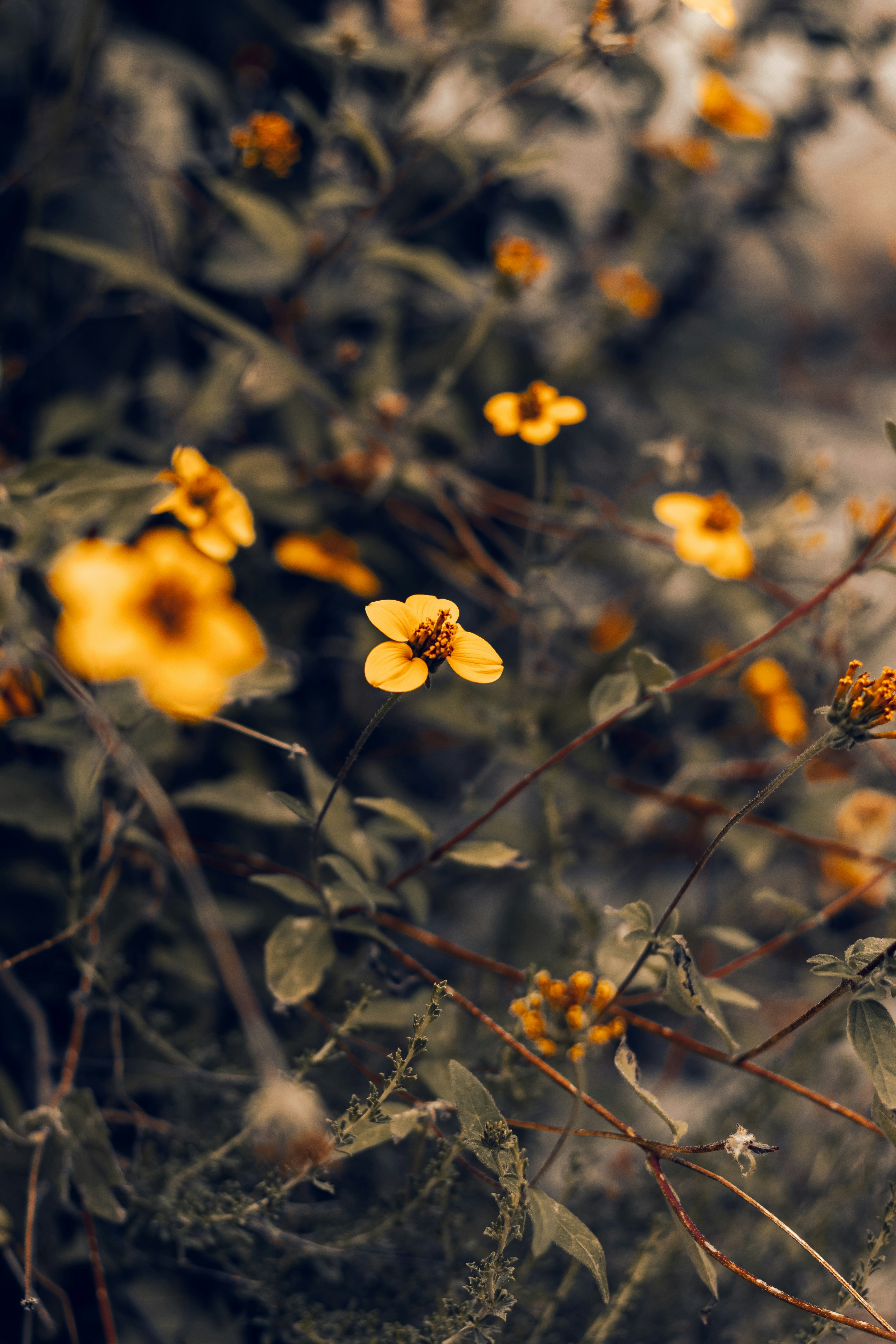 Photo by gamafilms1703