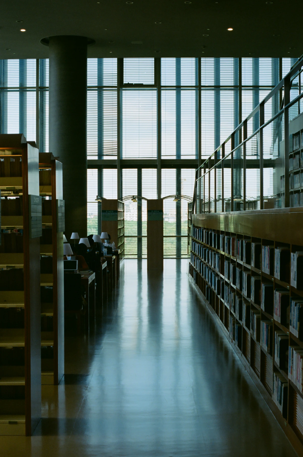 A quiet library aisle lit by tall windows