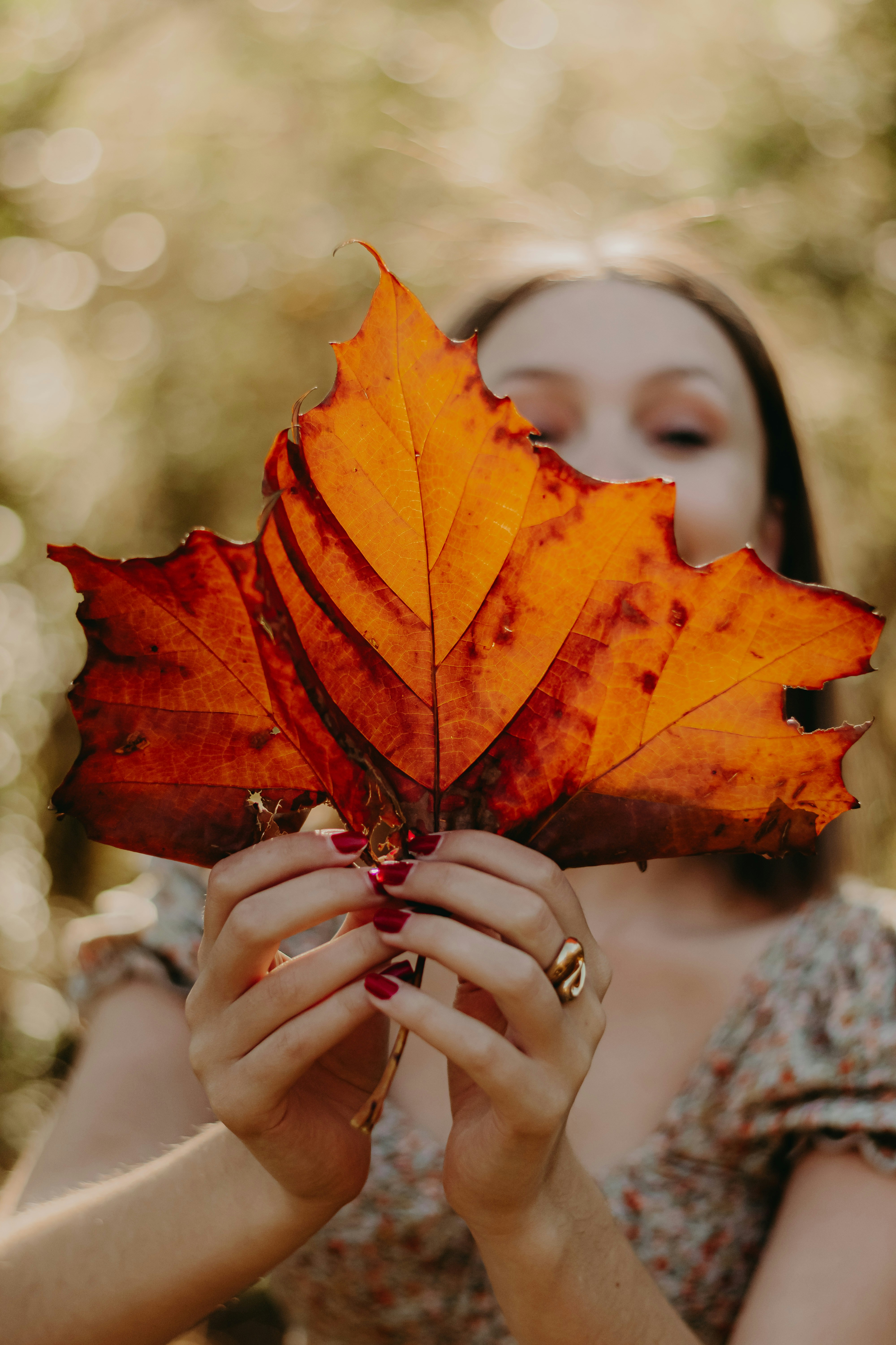 Me holding a big leaf - Instagram @baileyburtonphoto - Donate to me on Cashapp! $17thcw Thank you for your support!