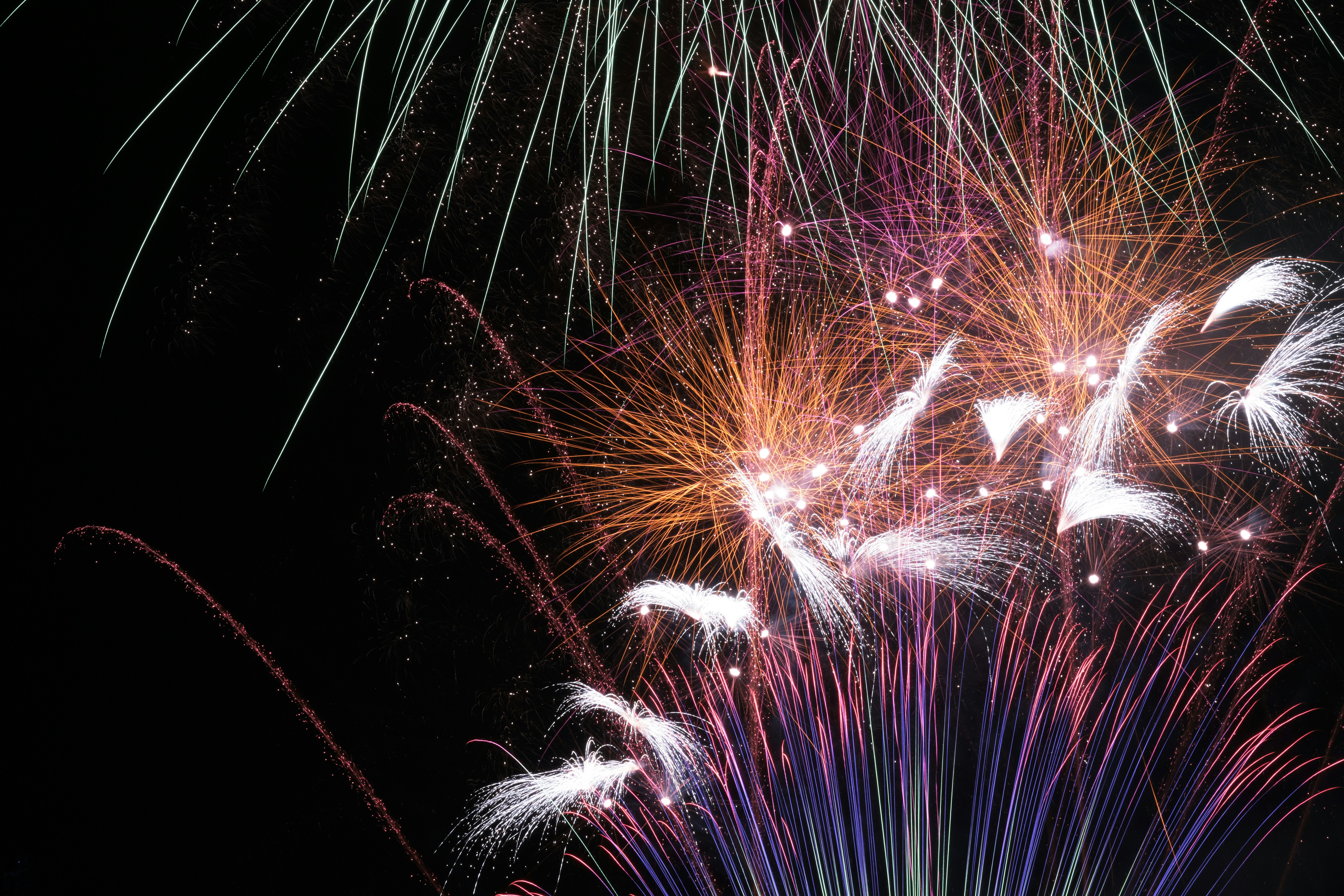 Photo by bullfishfighter