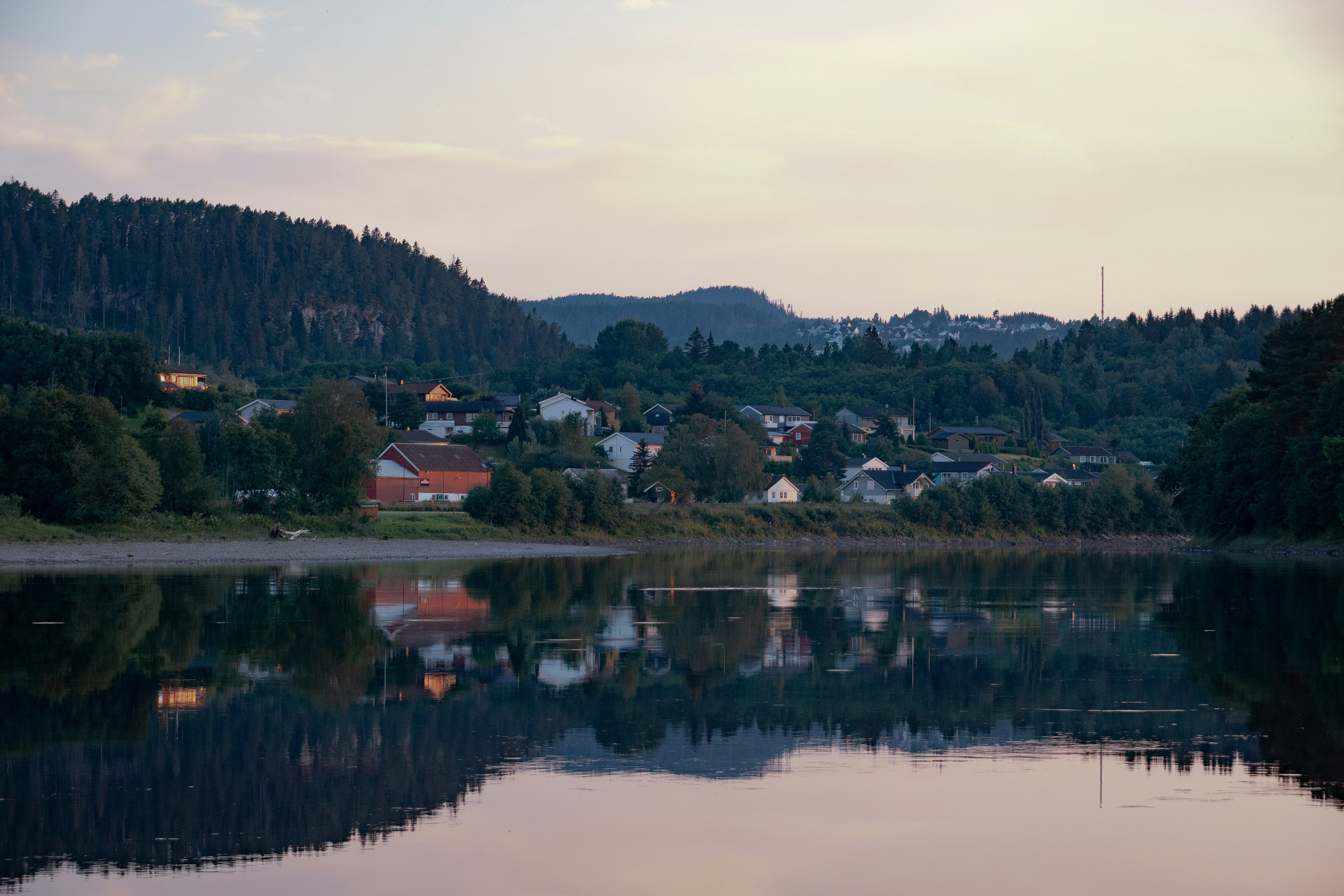 a body of water surrounded by a forest