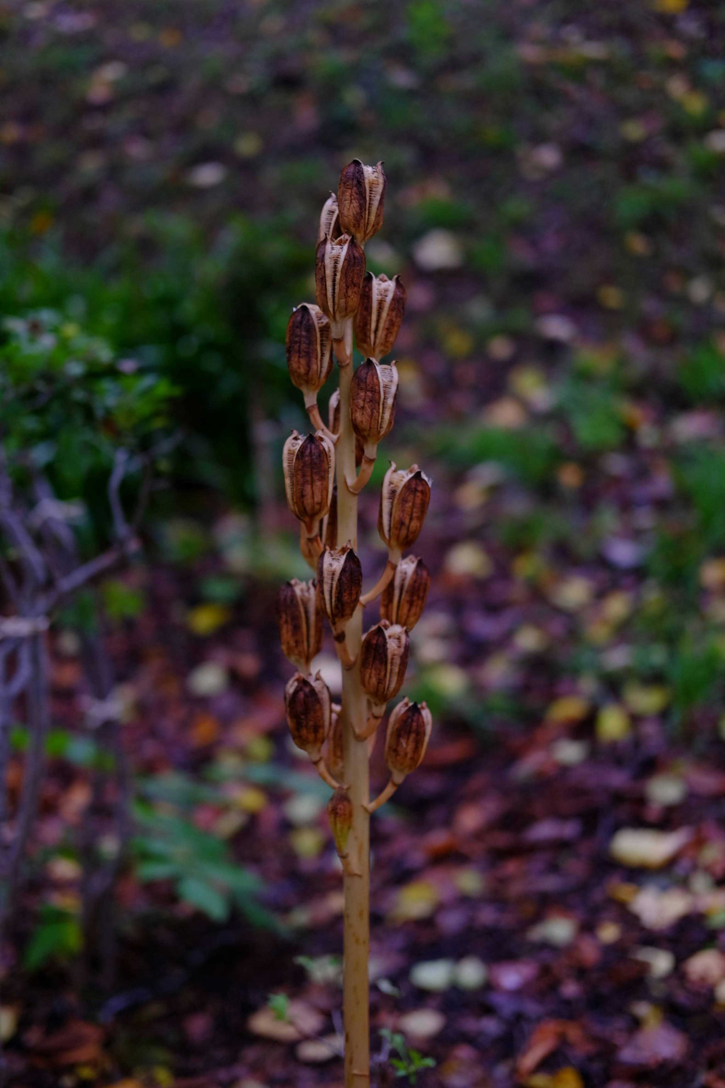 Photo by seiya_maeda