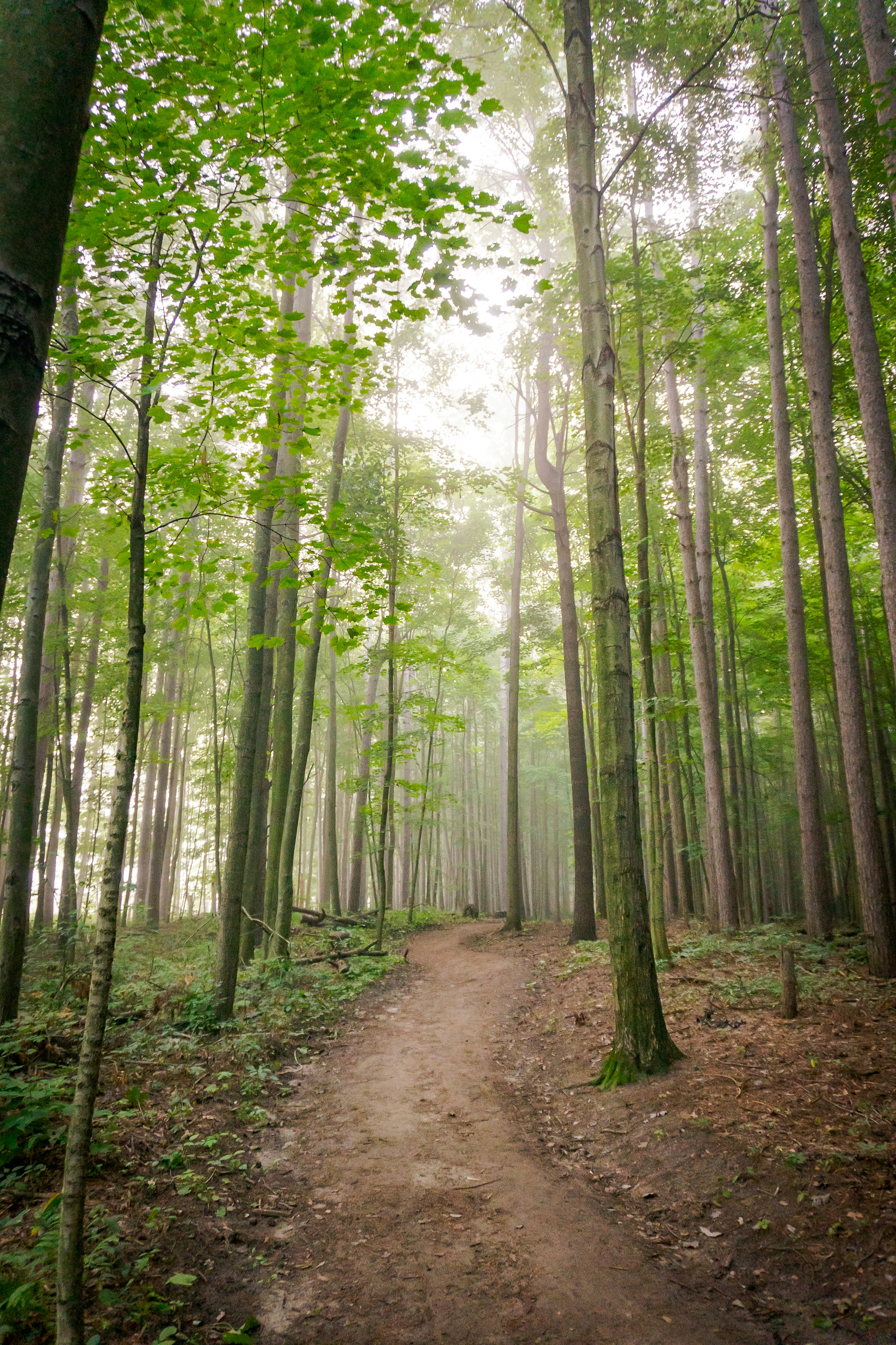 Photo by michael_g_krahn