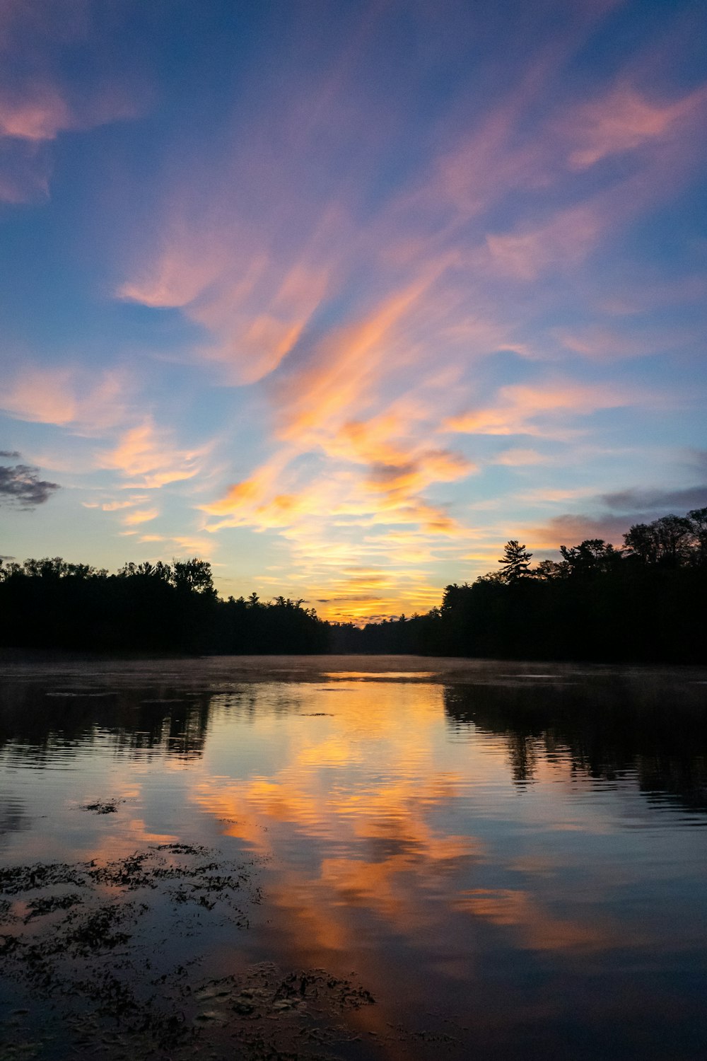 a sunset over a body of water with trees in the background