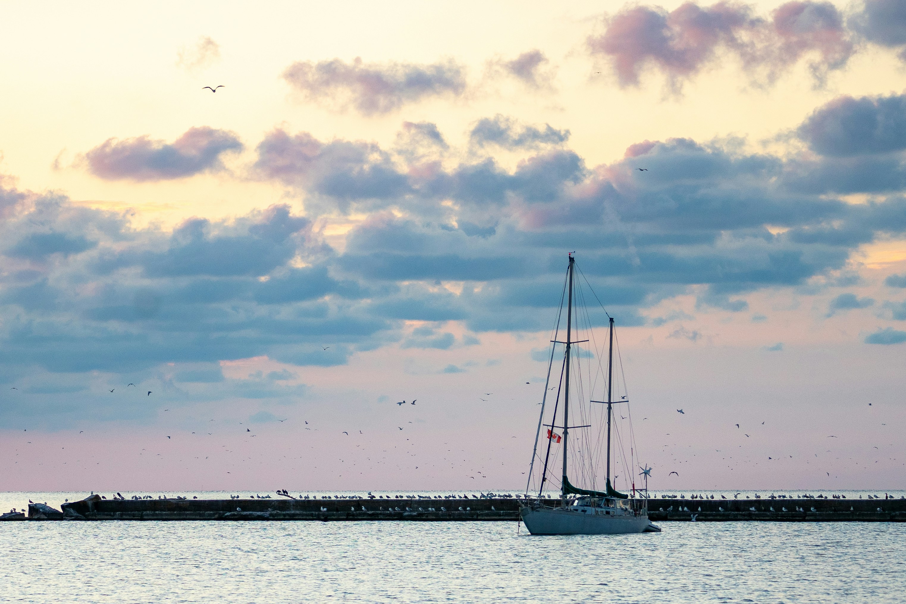 Photo by michael_g_krahn