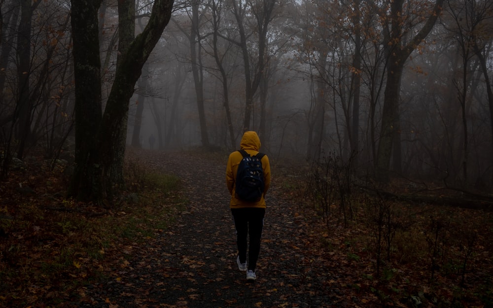 黄色いジャケットを着た人が森の中を歩いている
