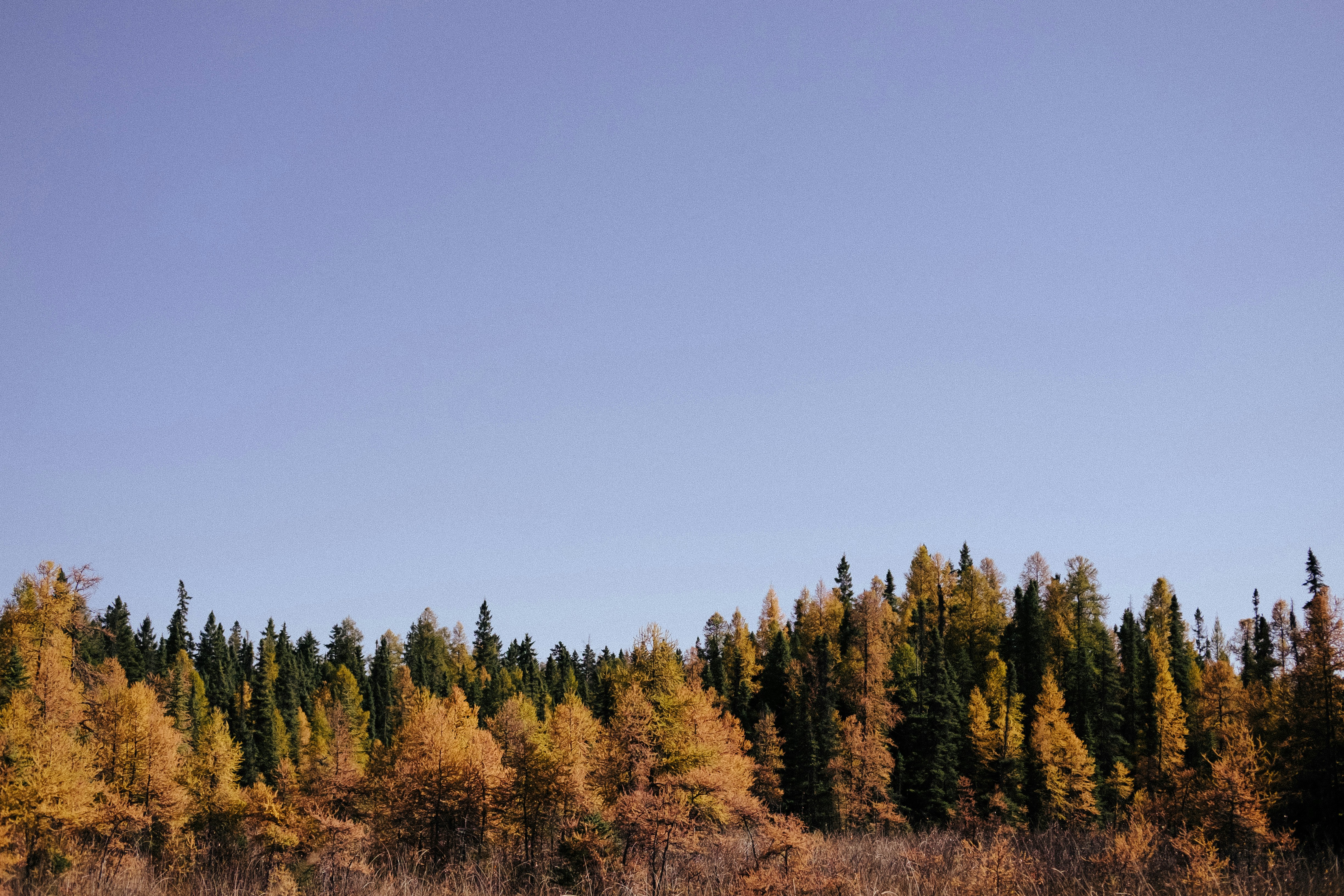 Photo by tarameinczinger