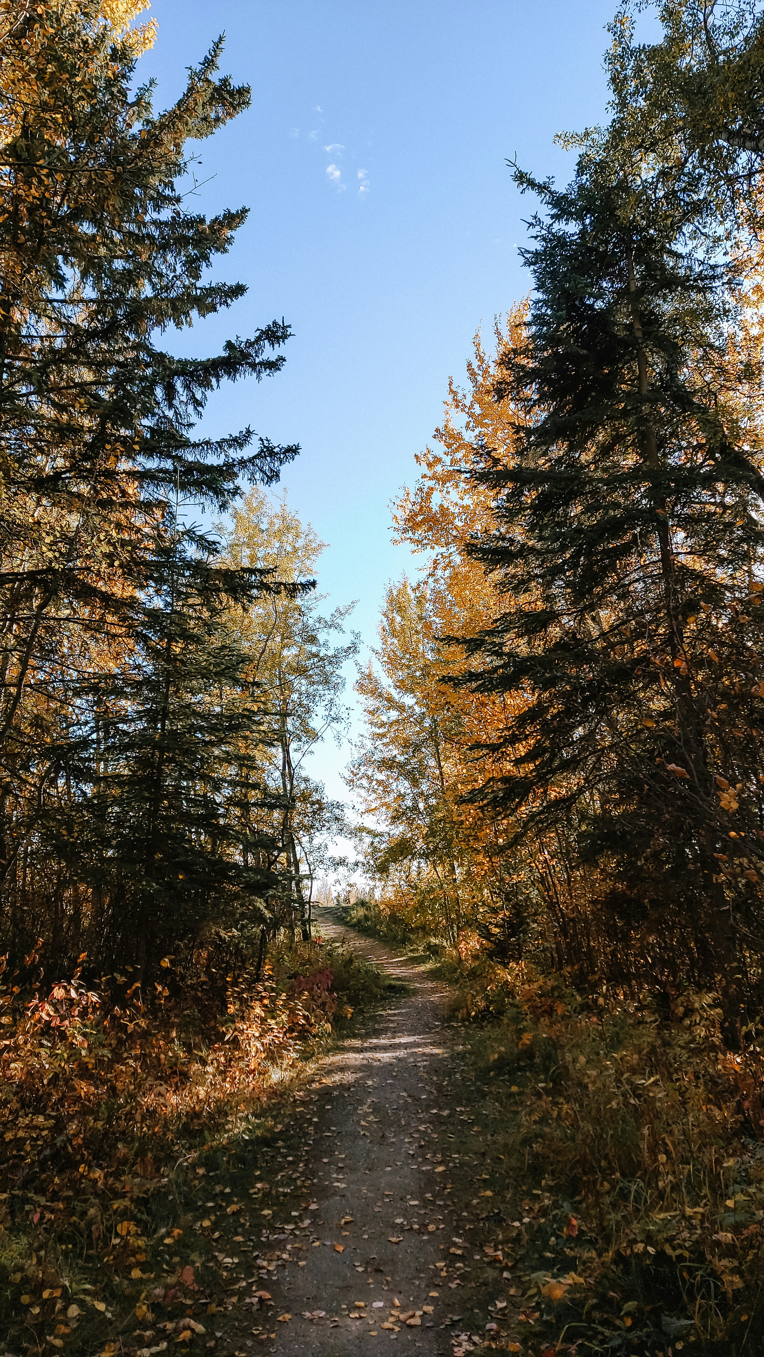 Photo by tarameinczinger