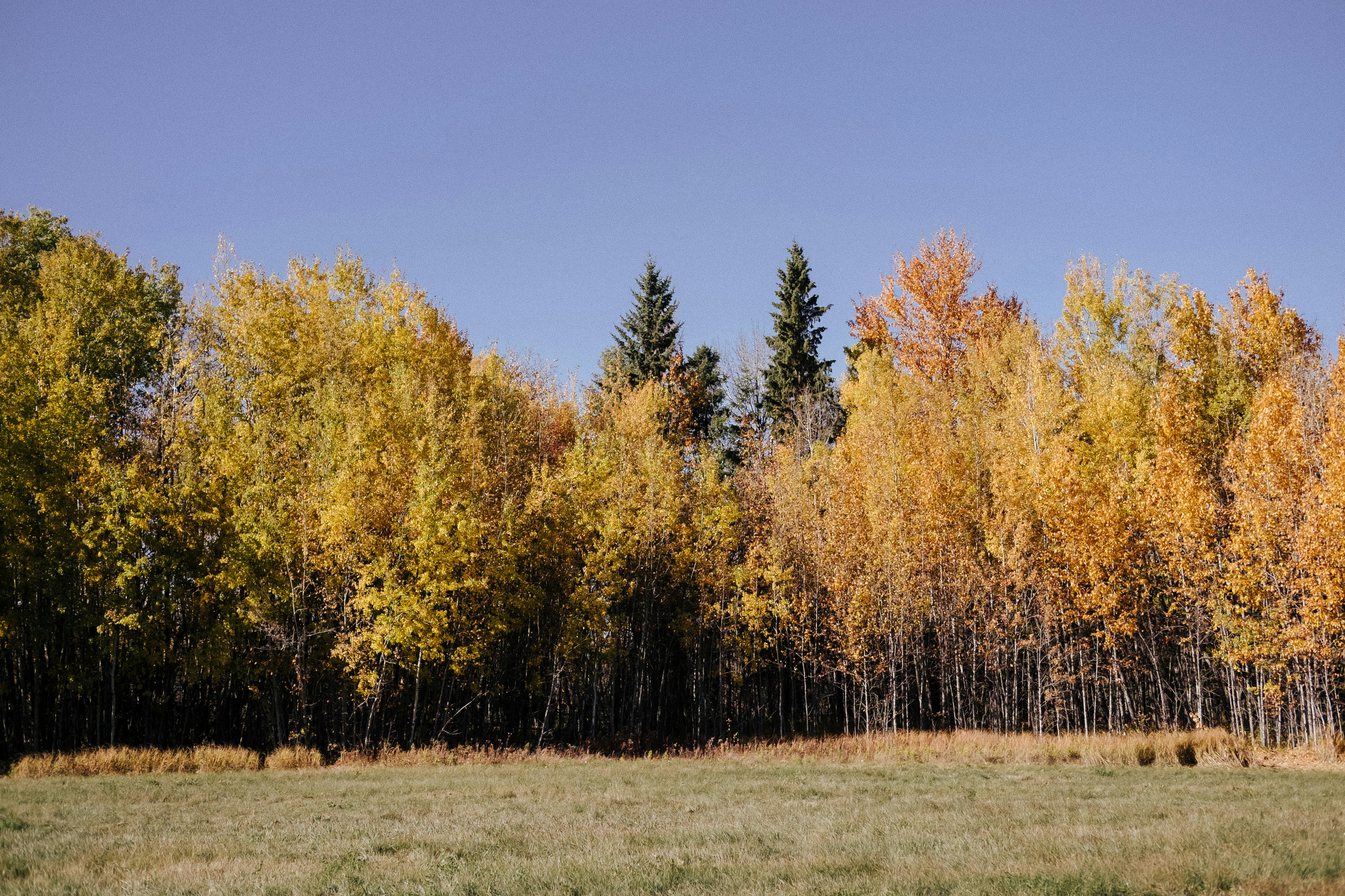 Photo by tarameinczinger