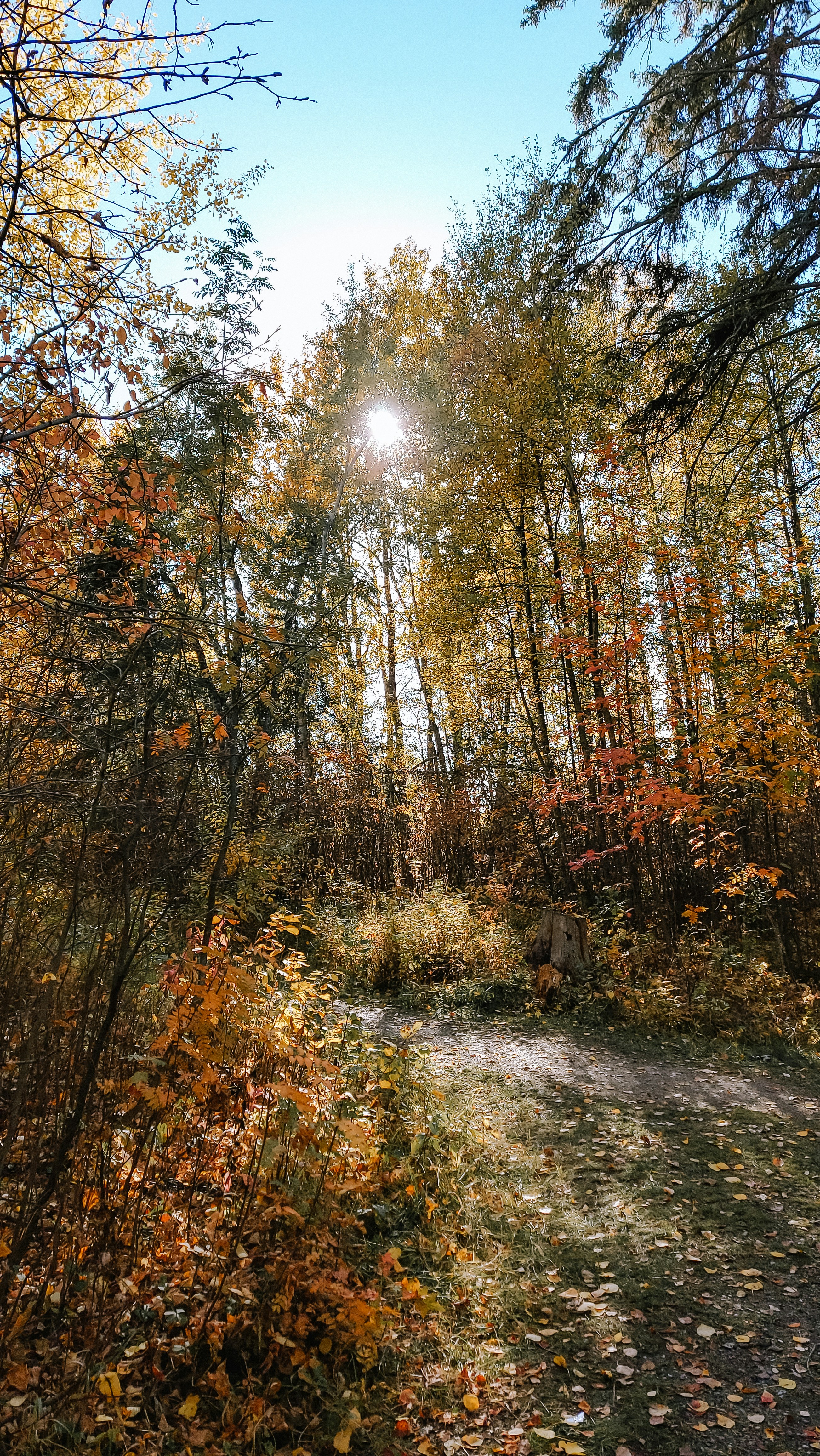 Photo by tarameinczinger