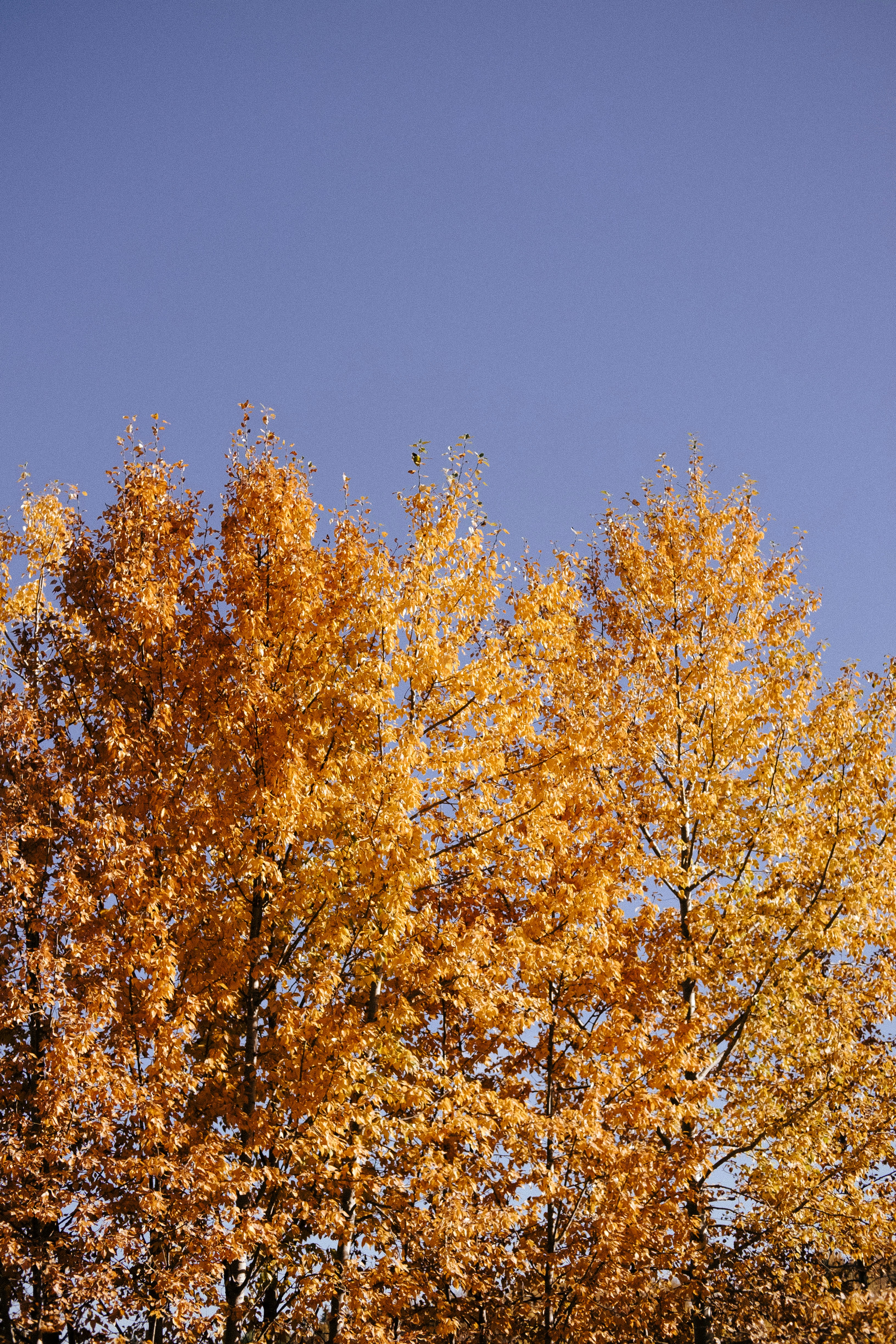 Photo by tarameinczinger