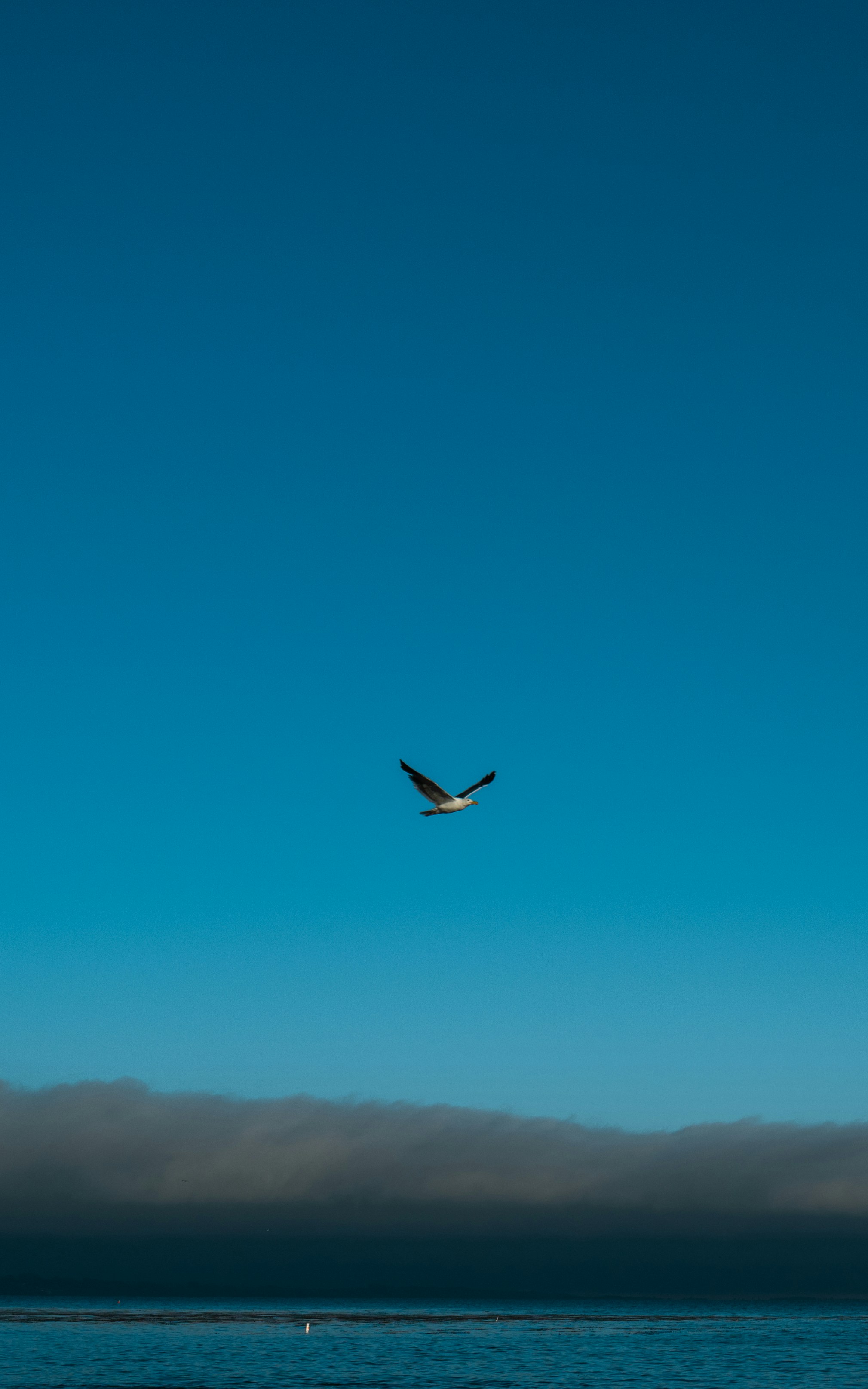 Photo by ravipalwe
