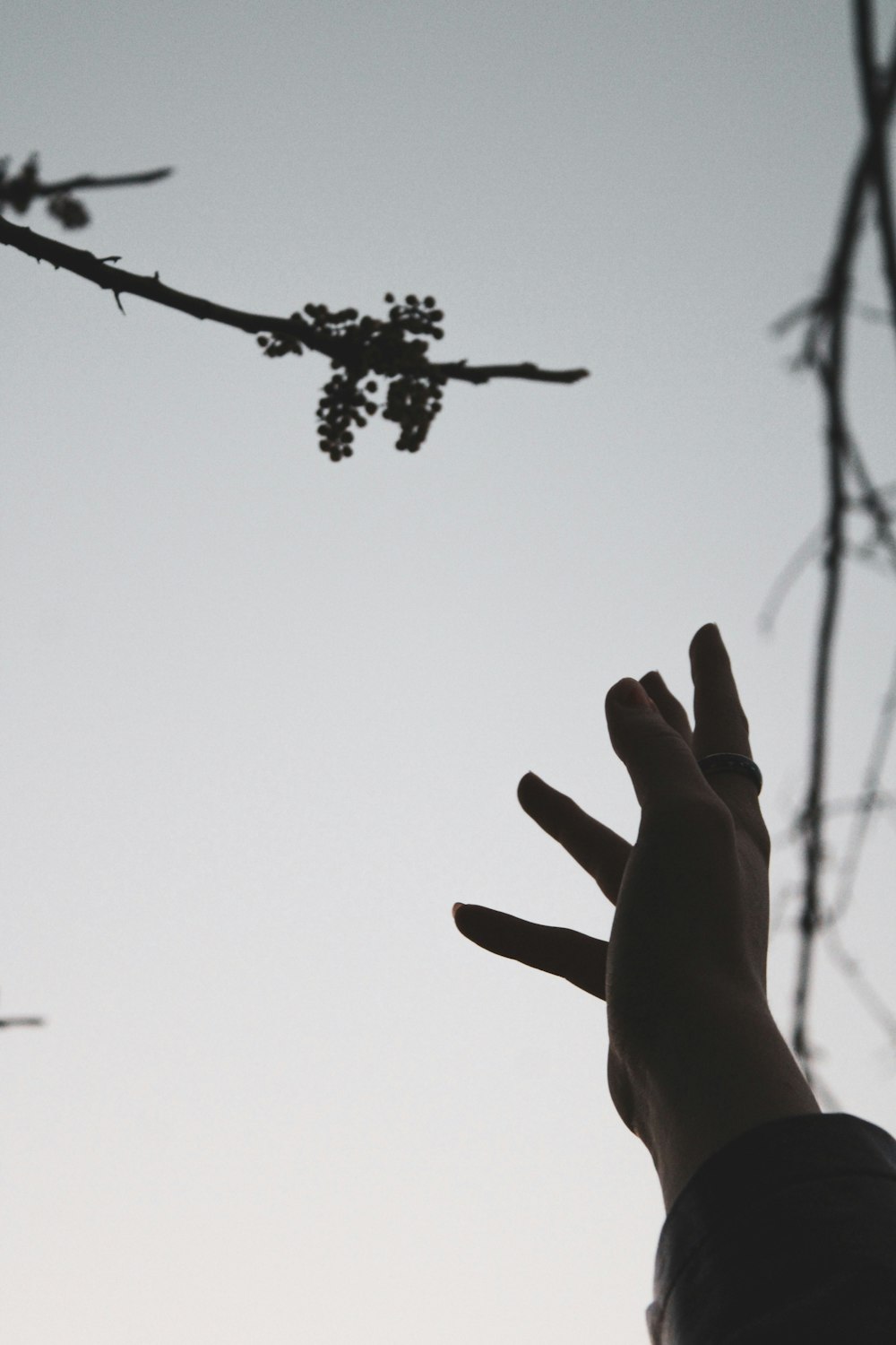 a person's hand reaching up into the sky
