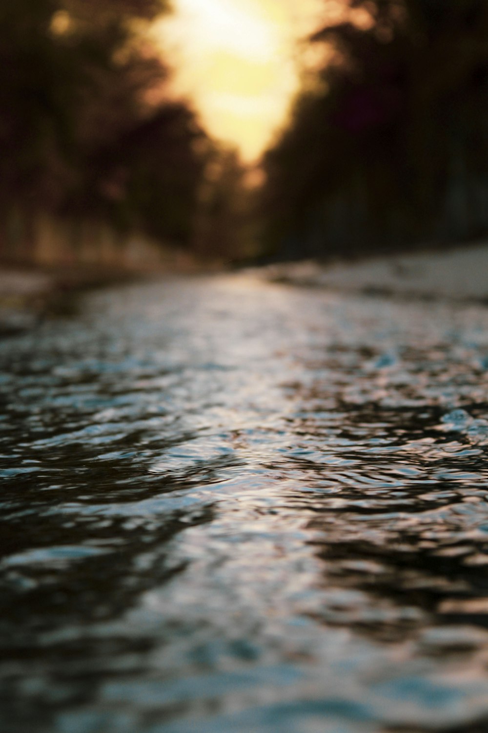 a close up of water with trees in the background