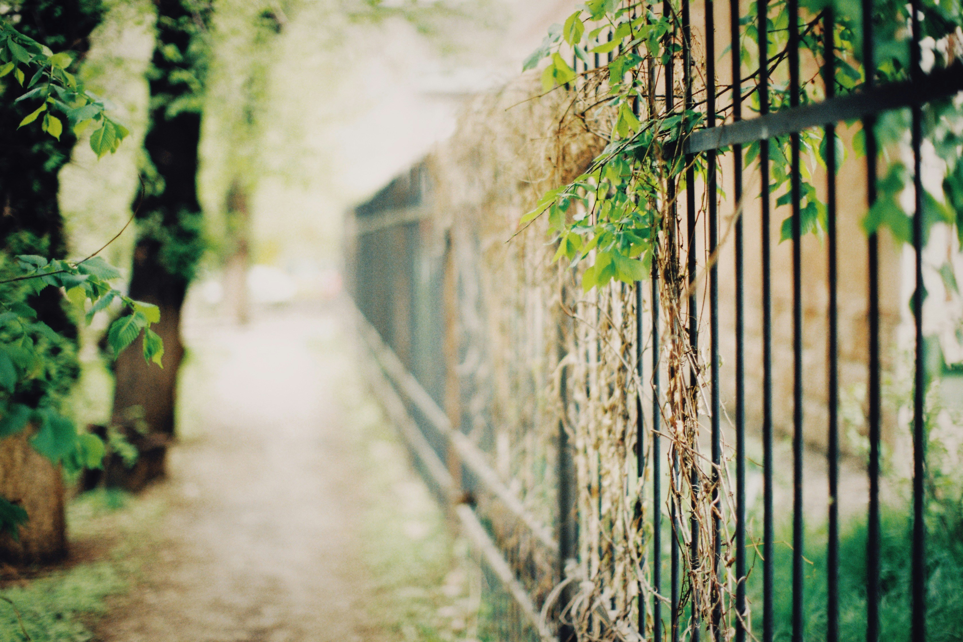 Photo by alexeydemidov