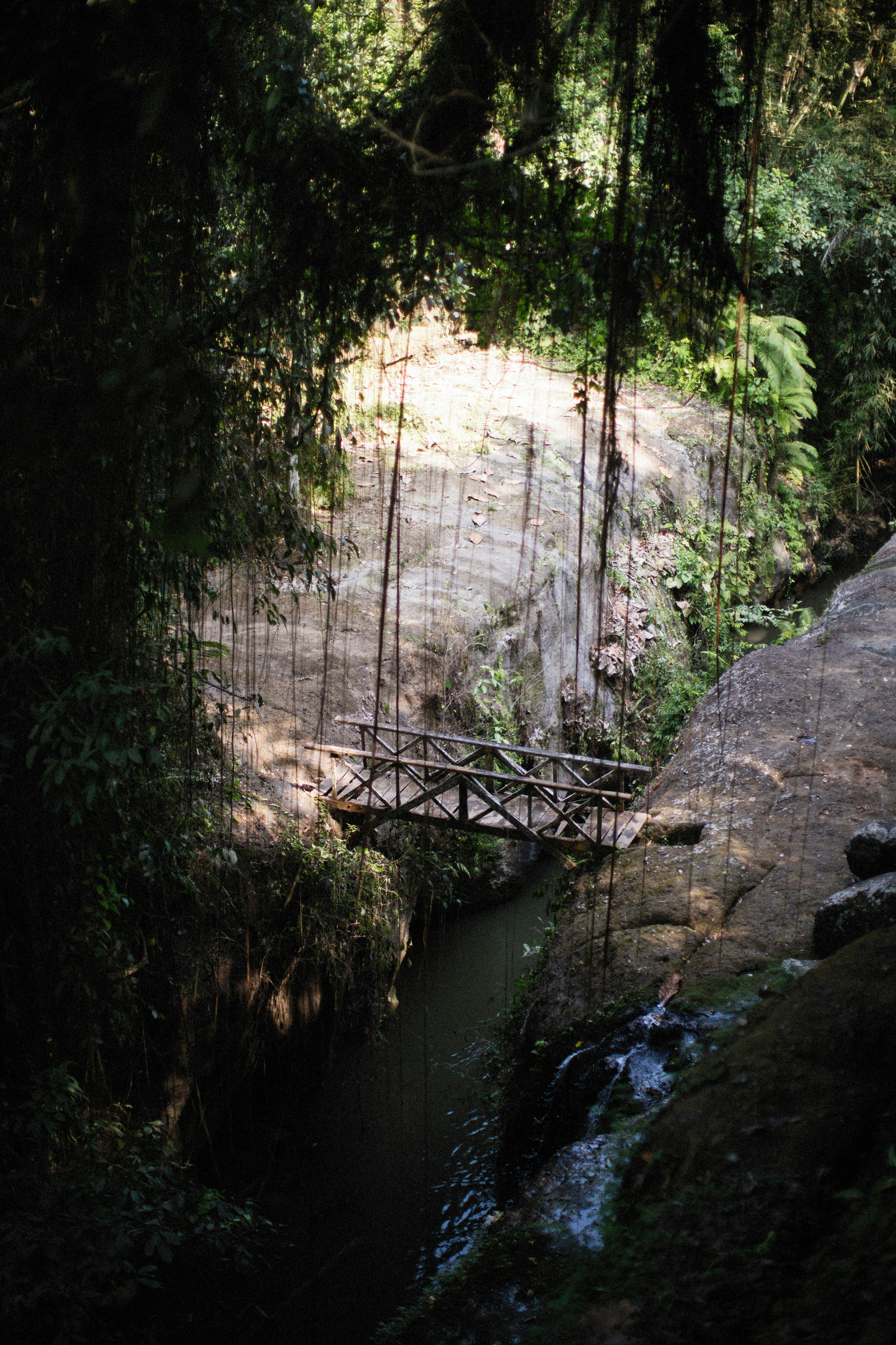 Photo by alexeydemidov