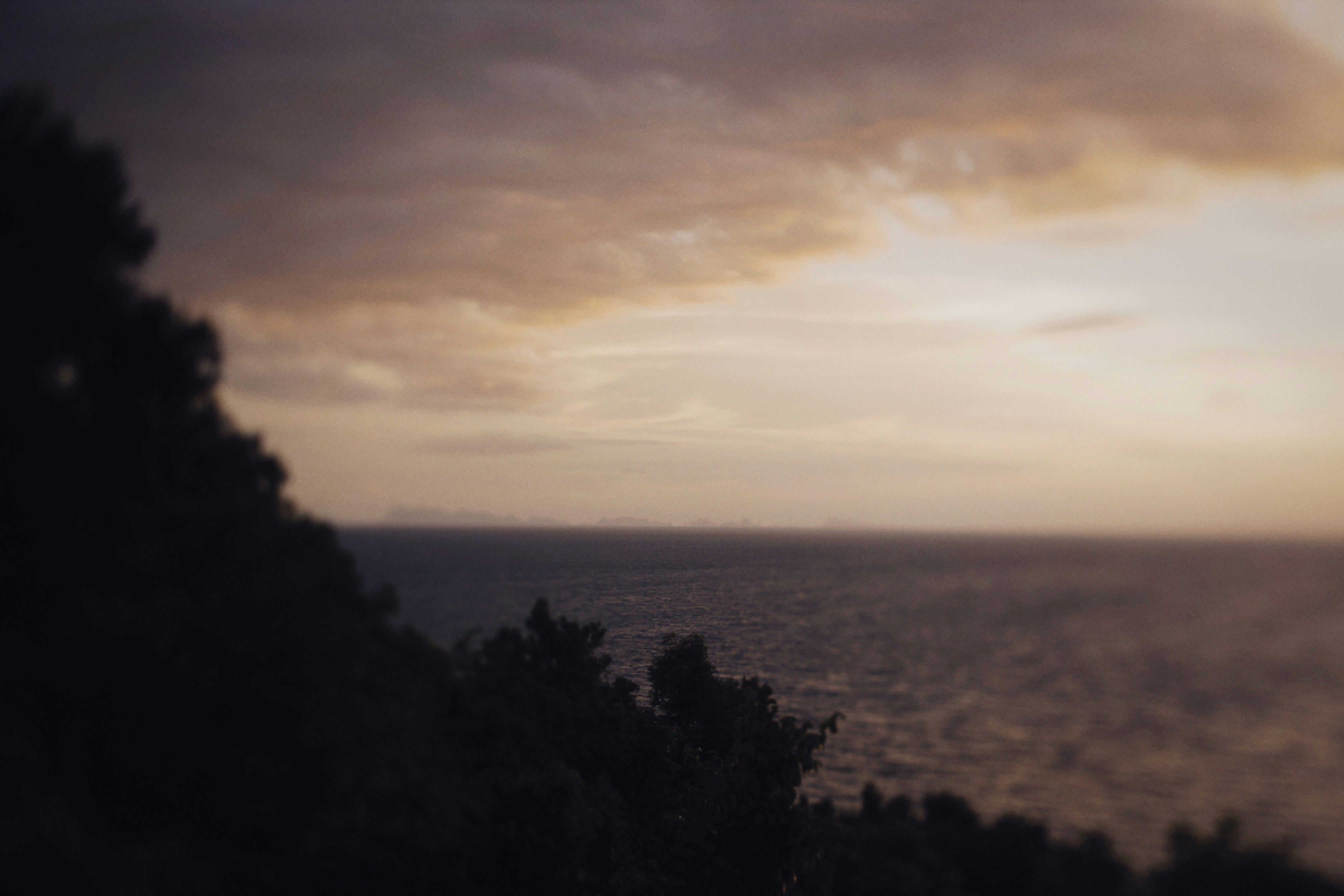 Photo by alexeydemidov