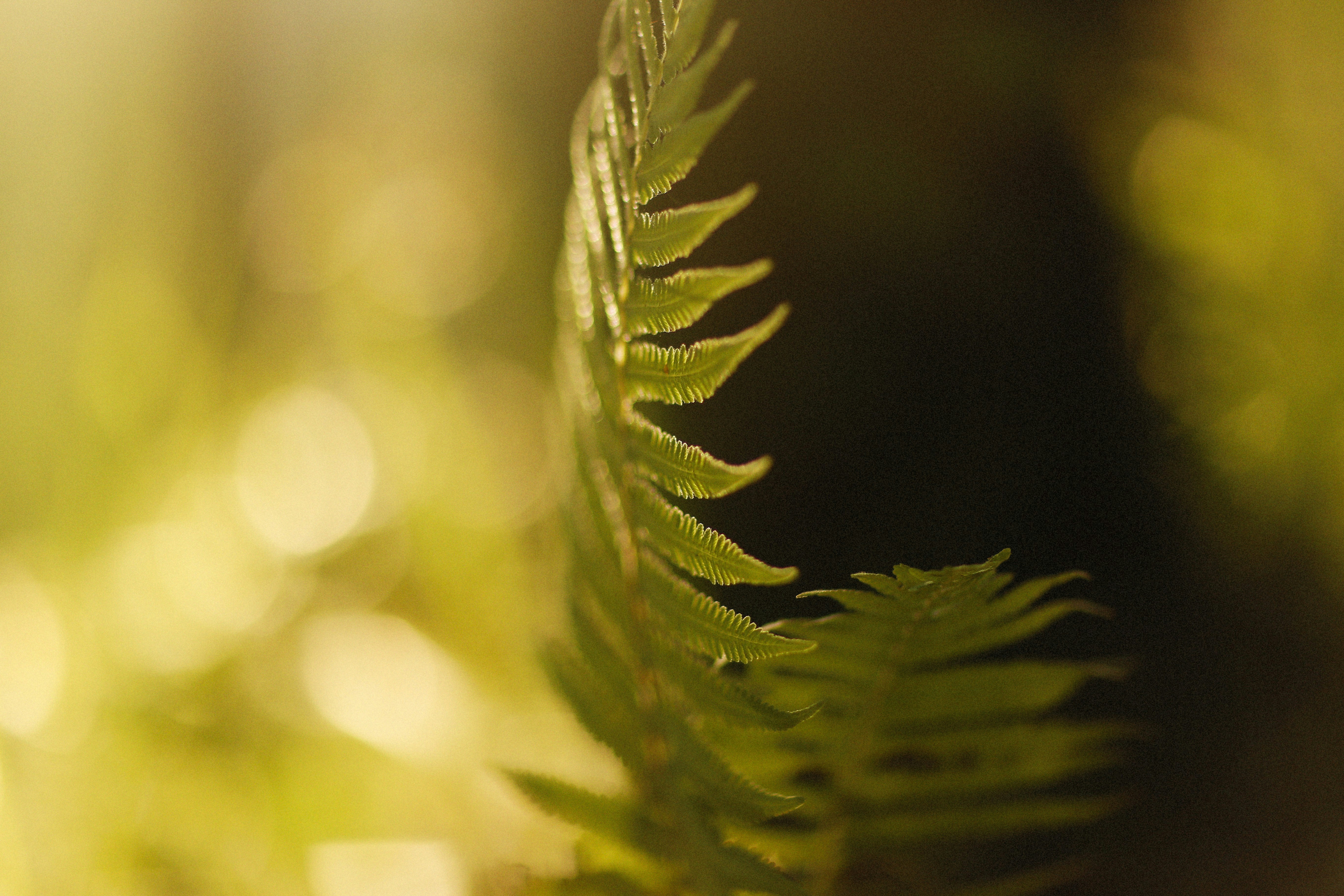 Photo by alexeydemidov