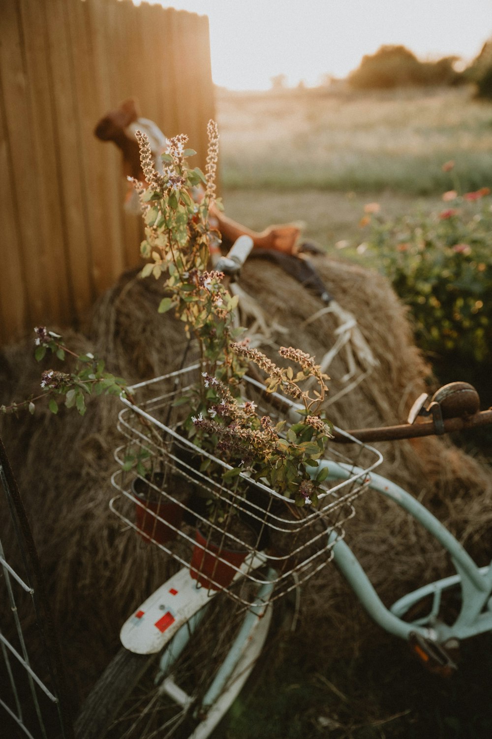 a bicycle with a basket full of flowers