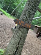A wooden sign with the word 'ZIPLINE' written in large orange letters is attached to a tree trunk in a wooded area. The background is filled with lush green foliage and more trees. The ground is covered in brown wood chips, and there's a small building visible on the right side.
