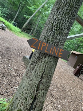 A wooden sign with the word 'ZIPLINE' written in large orange letters is attached to a tree trunk in a wooded area. The background is filled with lush green foliage and more trees. The ground is covered in brown wood chips, and there's a small building visible on the right side.