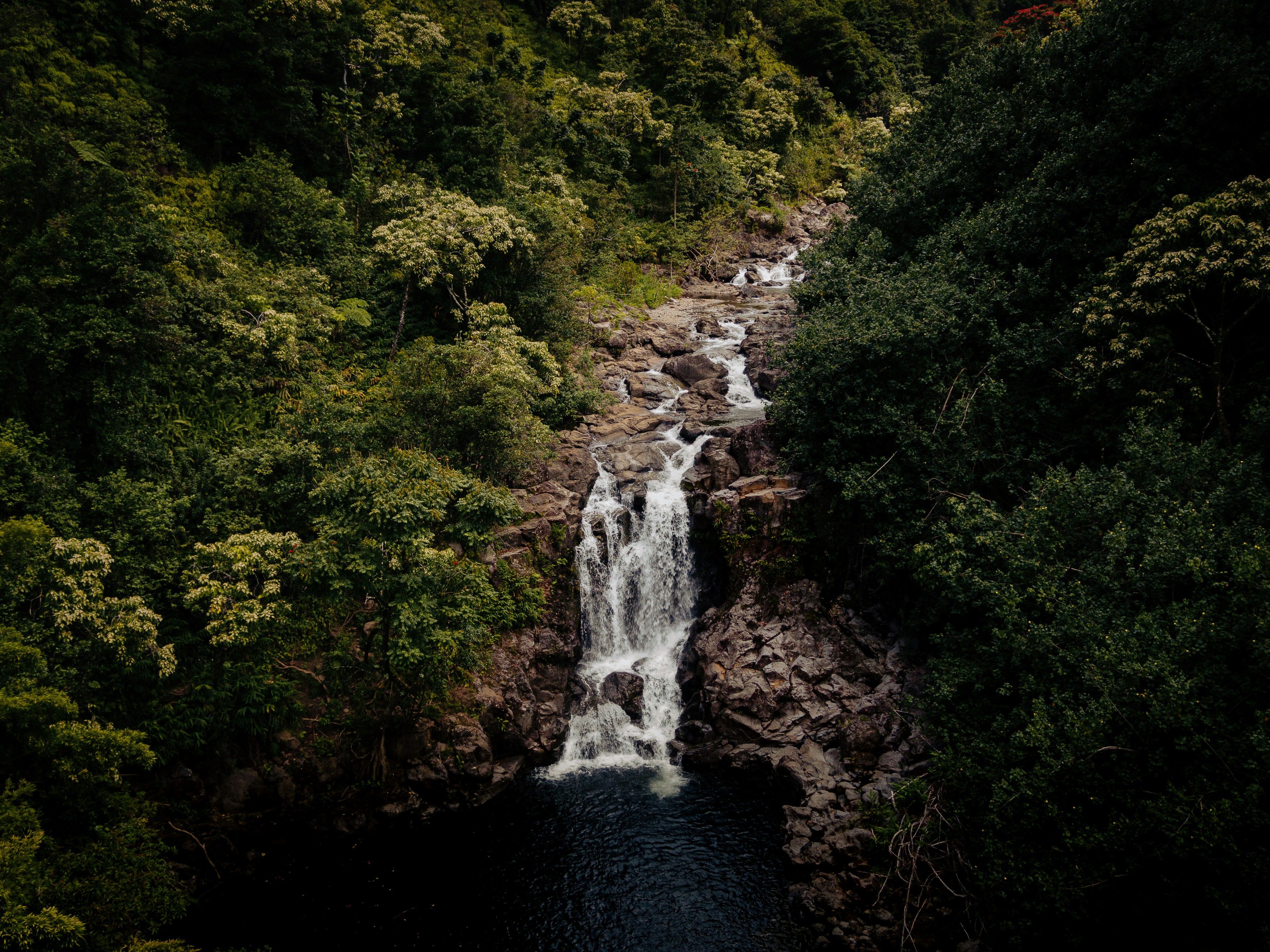 Photo by kalaniparker