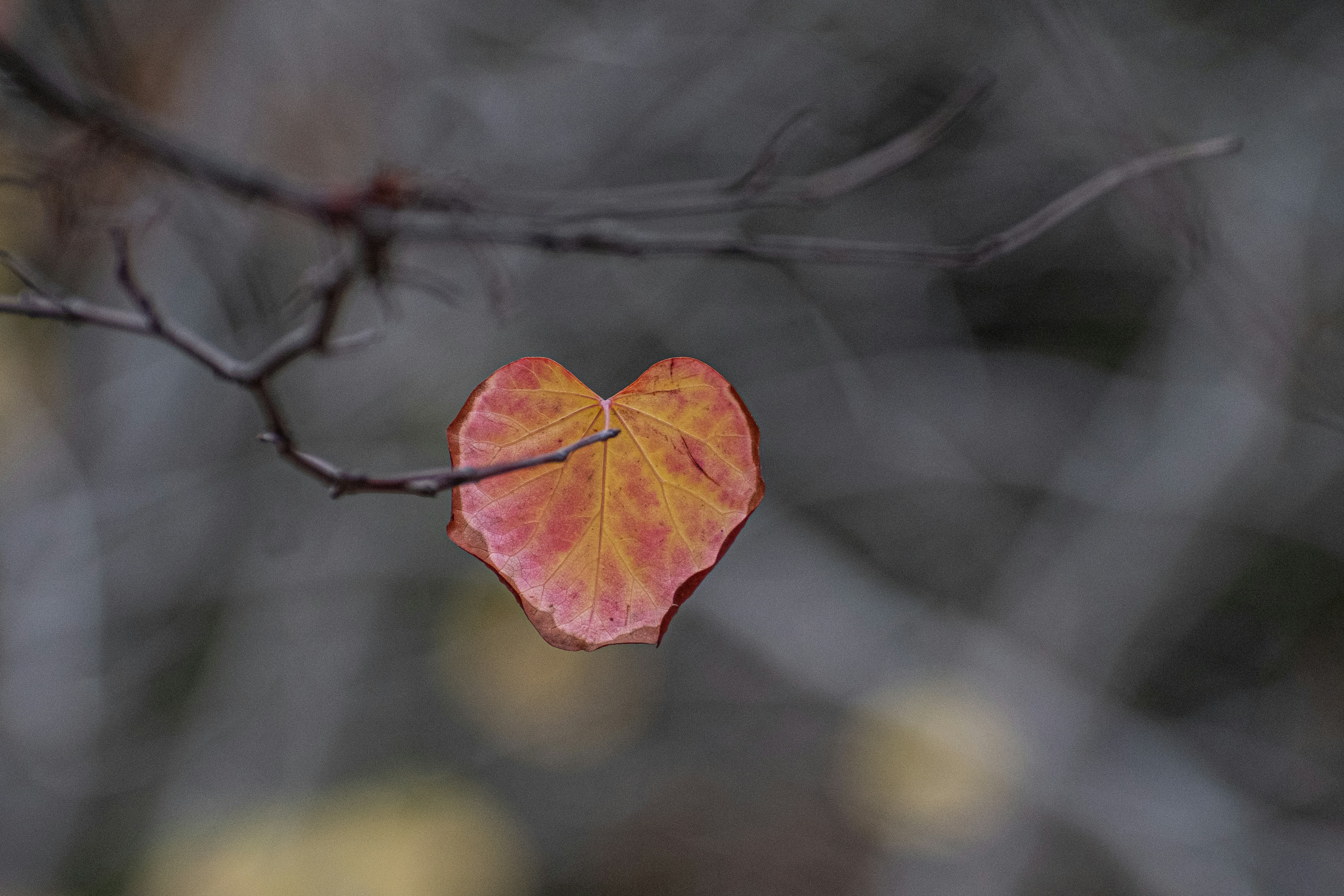 Short November Quotes to Warm the Heart and Feed Hope