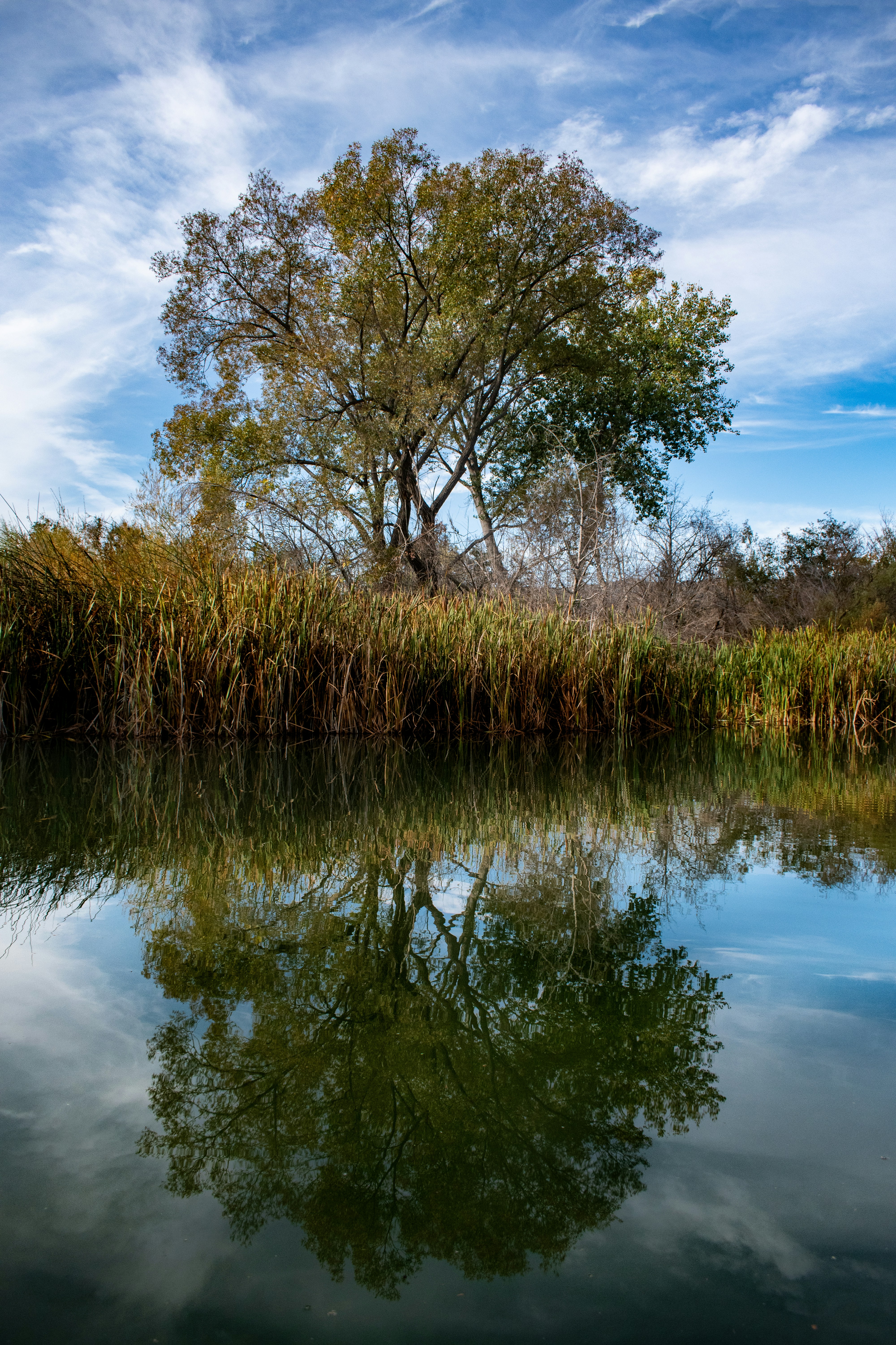 Photo by elisastonephotography