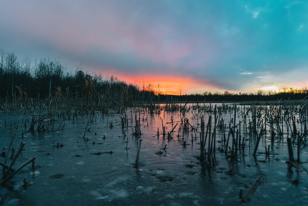 the sun is setting over a marshy area