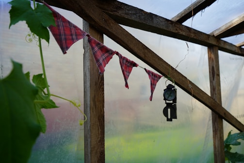 A rustic greenhouse interior with wooden beams and a makeshift flag banner made of plaid fabric. A black vintage-style hanging lantern is also visible. Green leaves and tendrils creep along the wooden structure, adding a natural touch to the setting.